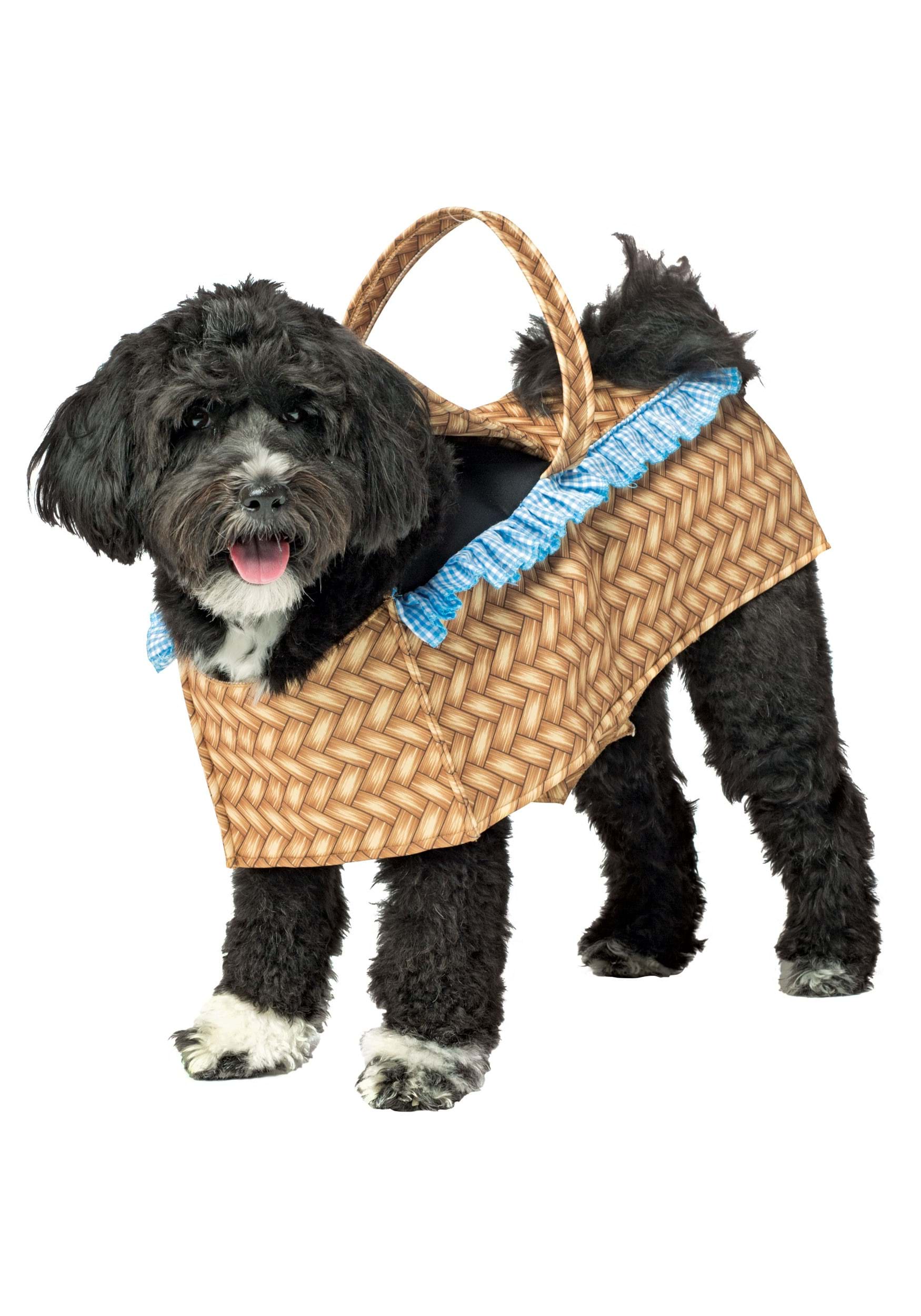 Dog in a Basket for Dogs