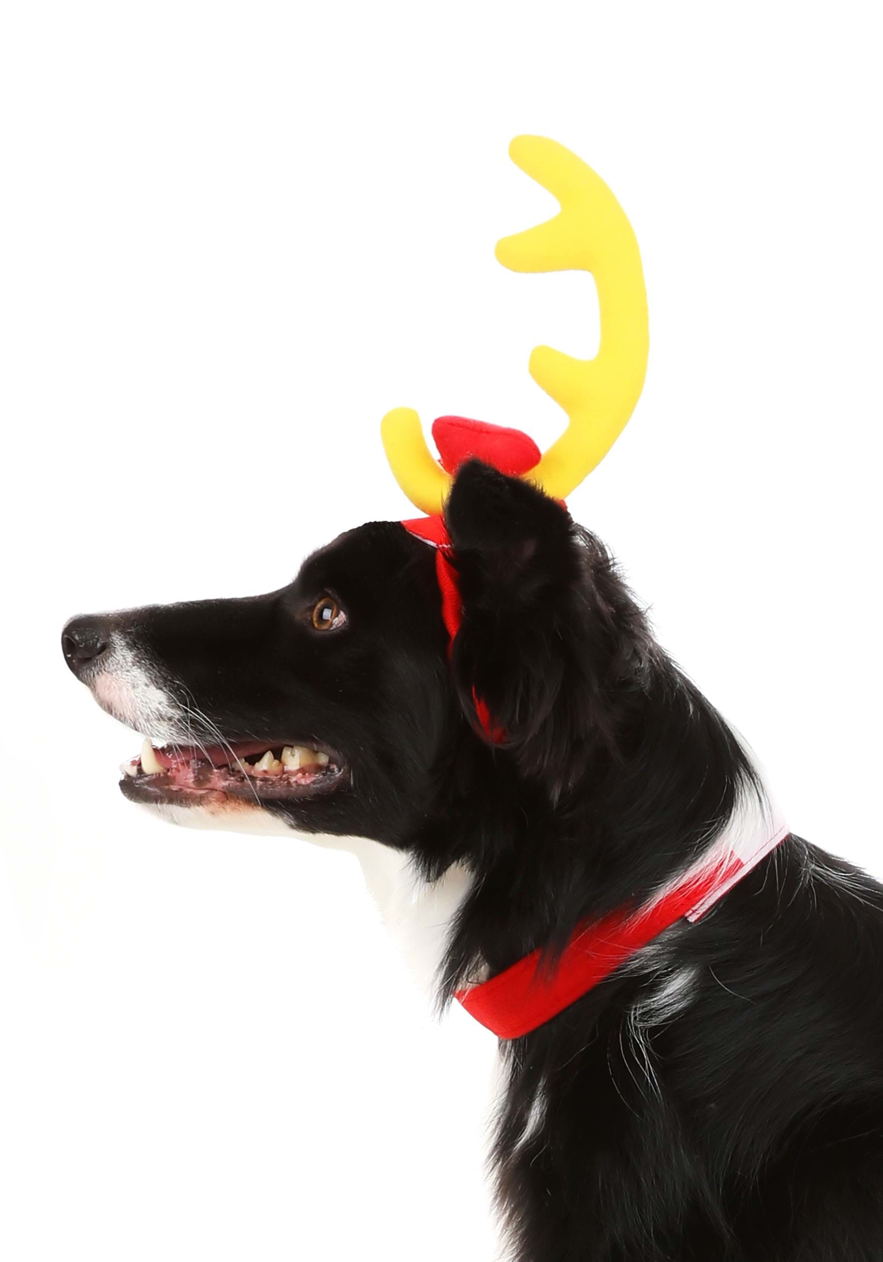 The One Who Stole Christmas Grinch Max Dog Costume