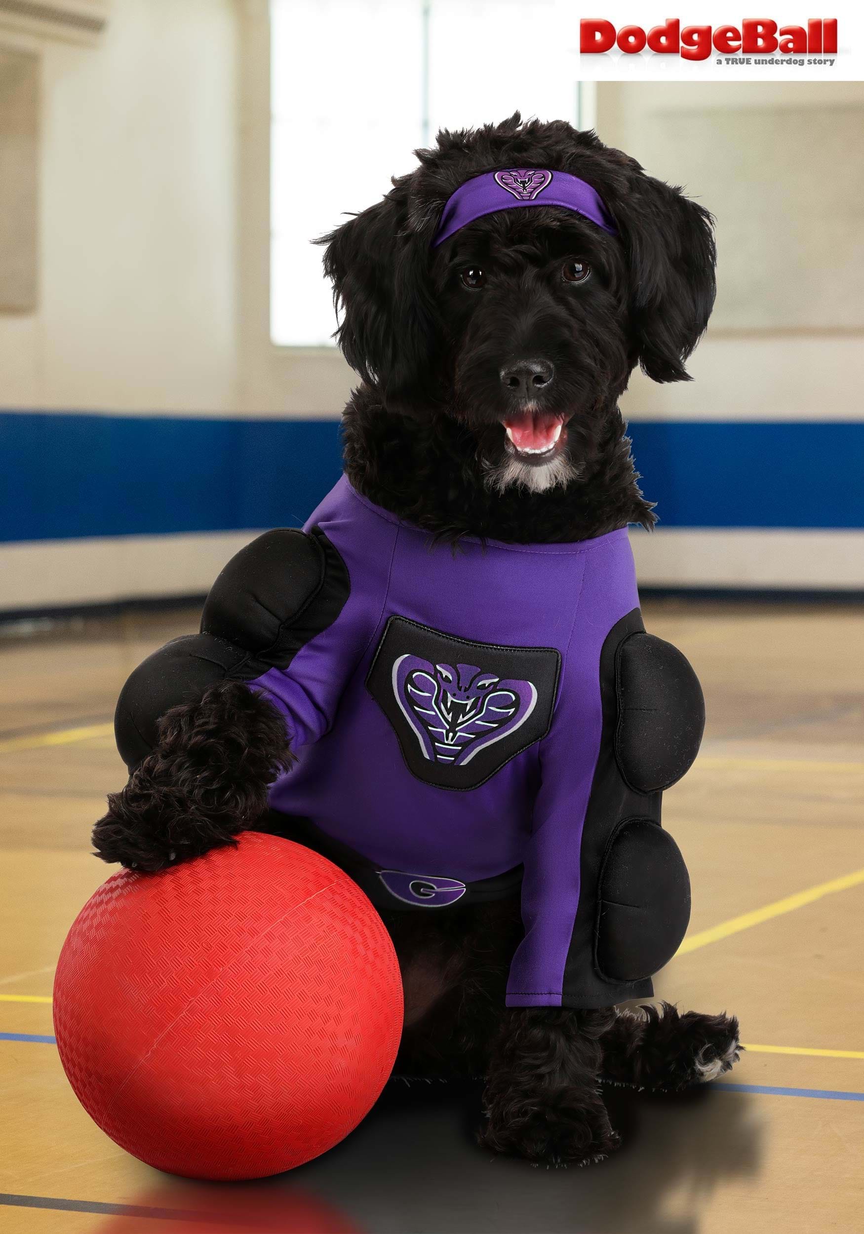 Globo Gym Dodgeball Pet Costume 1 Globo Gym Dodgeball Pet Costume