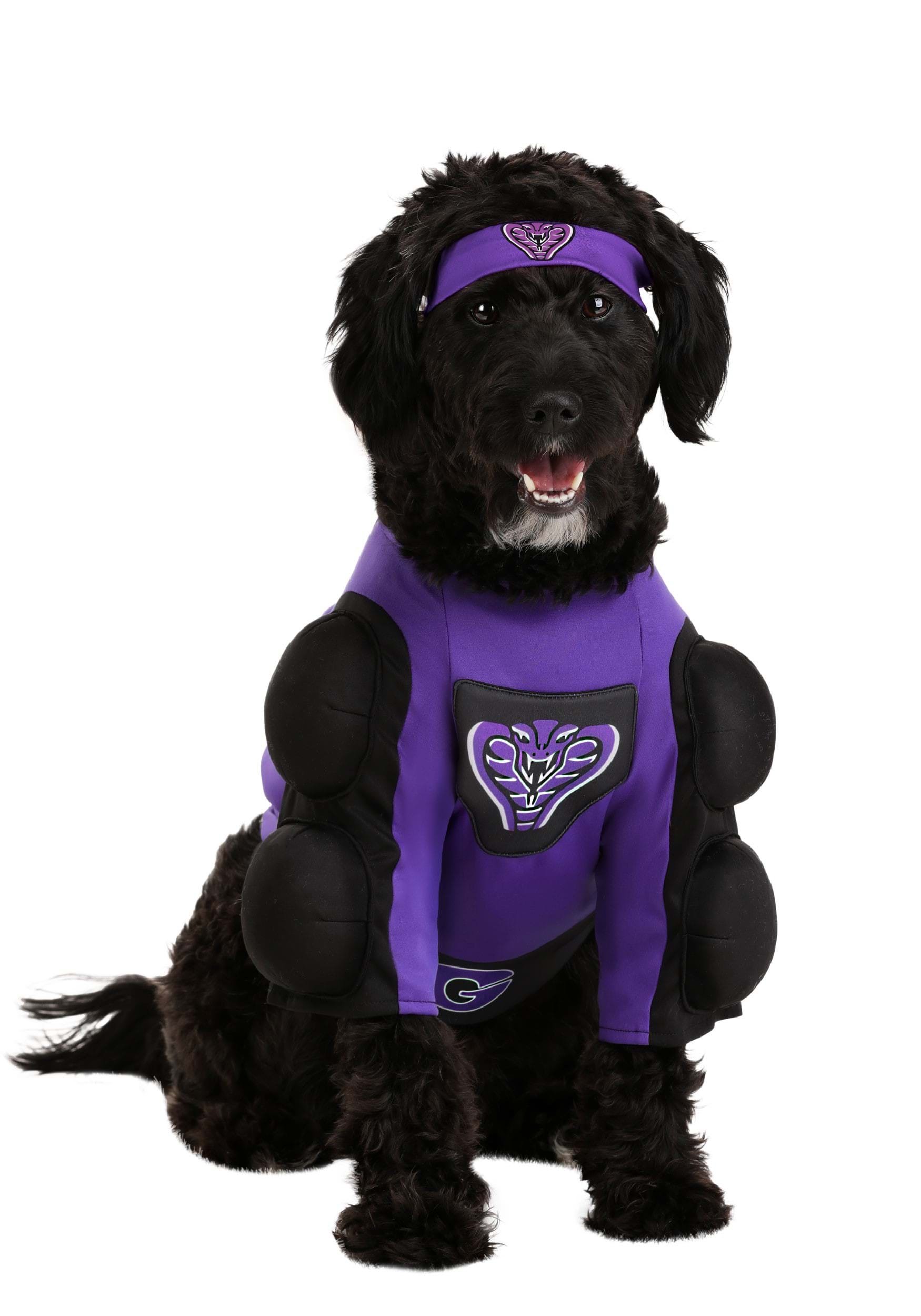 Globo Gym Dodgeball Pet Costume 2 Globo Gym Dodgeball Pet Costume