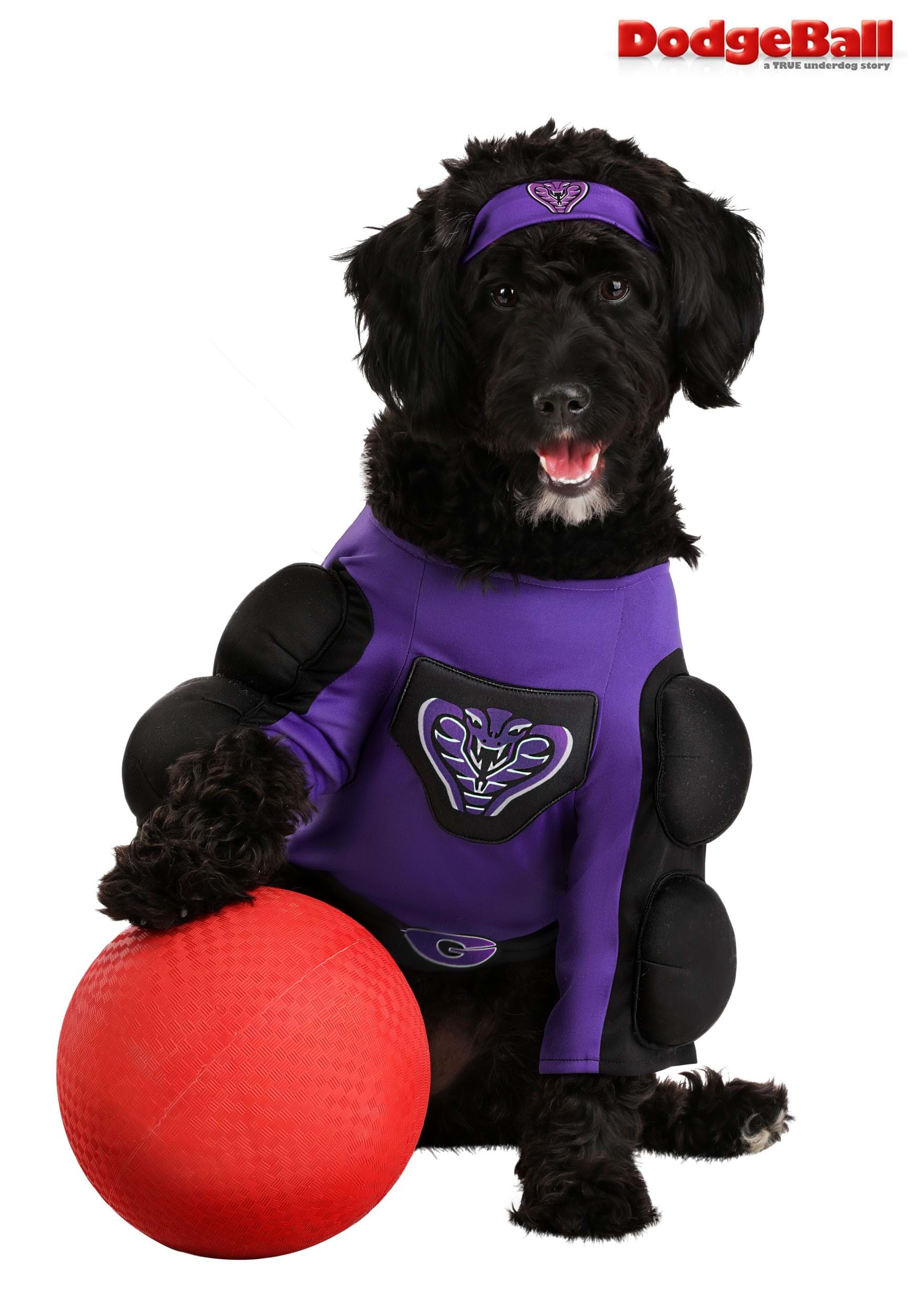 Globo Gym Dodgeball Pet Costume 5 Globo Gym Dodgeball Pet Costume