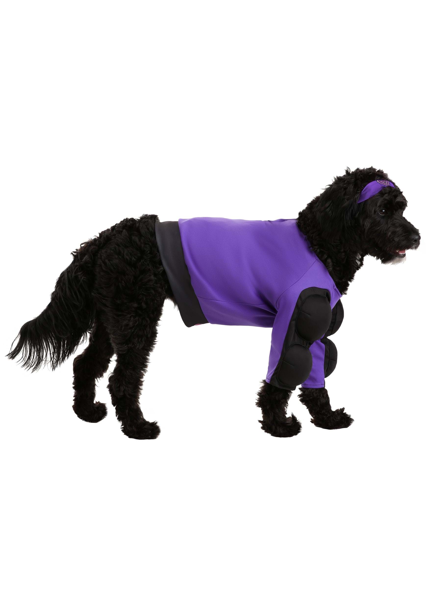 Globo Gym Dodgeball Pet Costume 6 Globo Gym Dodgeball Pet Costume