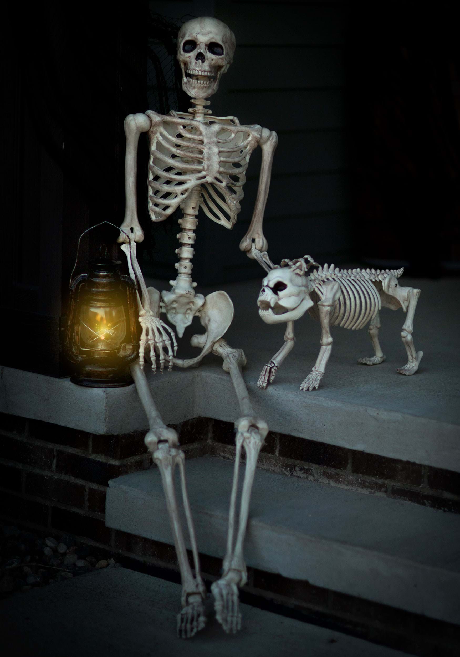 Realistic 5FT Poseable Skeleton Halloween Prop 1 Realistic 5FT Poseable Skeleton Halloween Prop