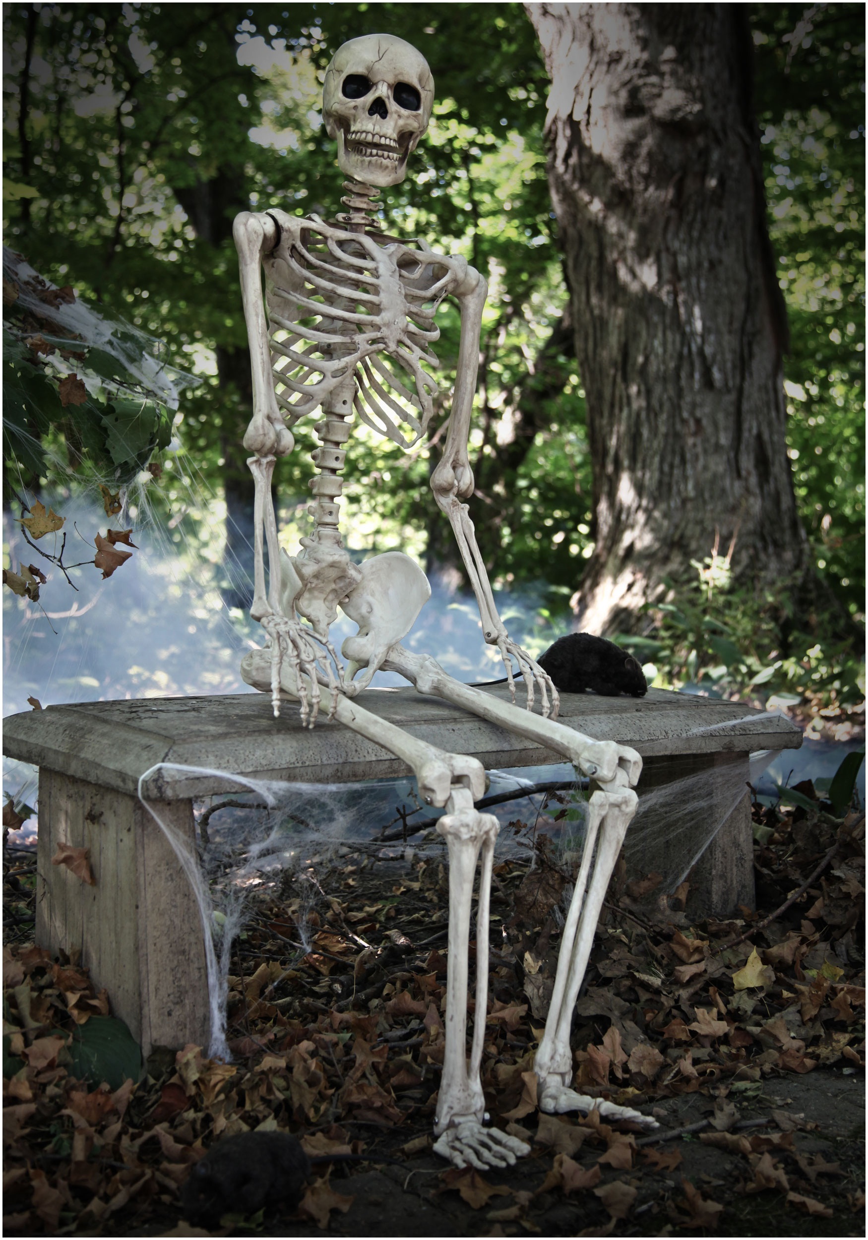 Realistic 5FT Poseable Skeleton Halloween Prop 2 Realistic 5FT Poseable Skeleton Halloween Prop