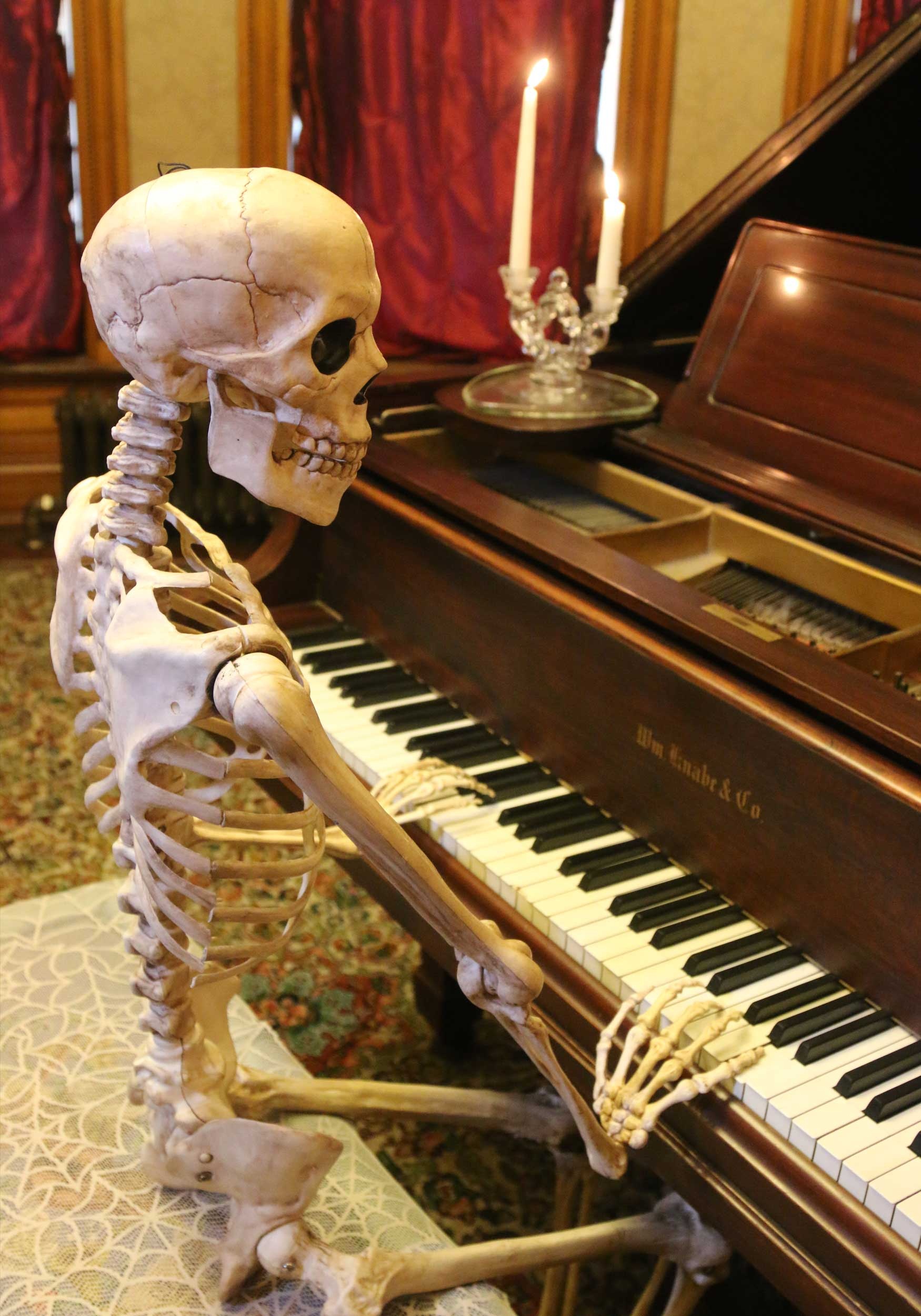 Realistic 5FT Poseable Skeleton Halloween Prop 3 Realistic 5FT Poseable Skeleton Halloween Prop