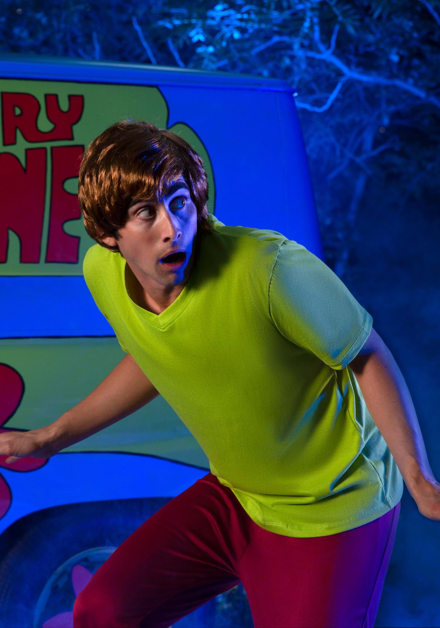 Men's Classic Scooby Doo Shaggy Costume