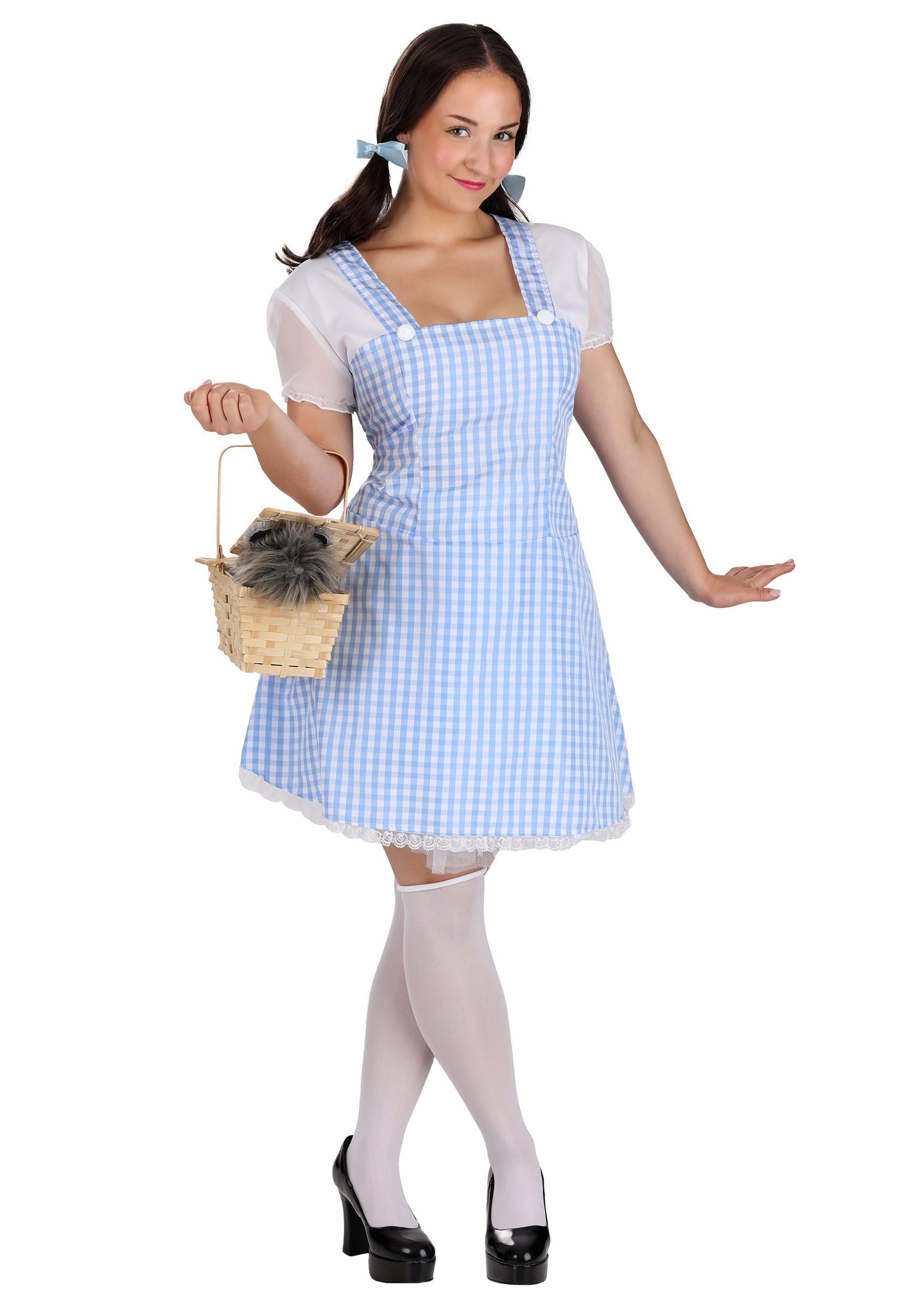 Sexy Blue Gingham Costume Dress for Women