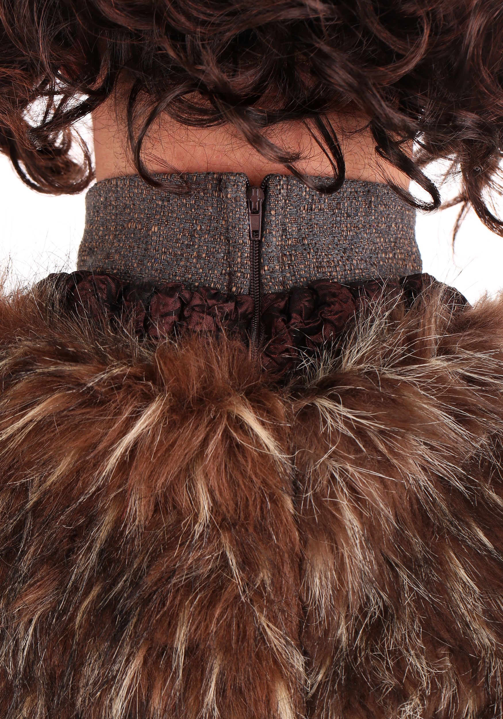 Plus Size Northern King Costume for Men