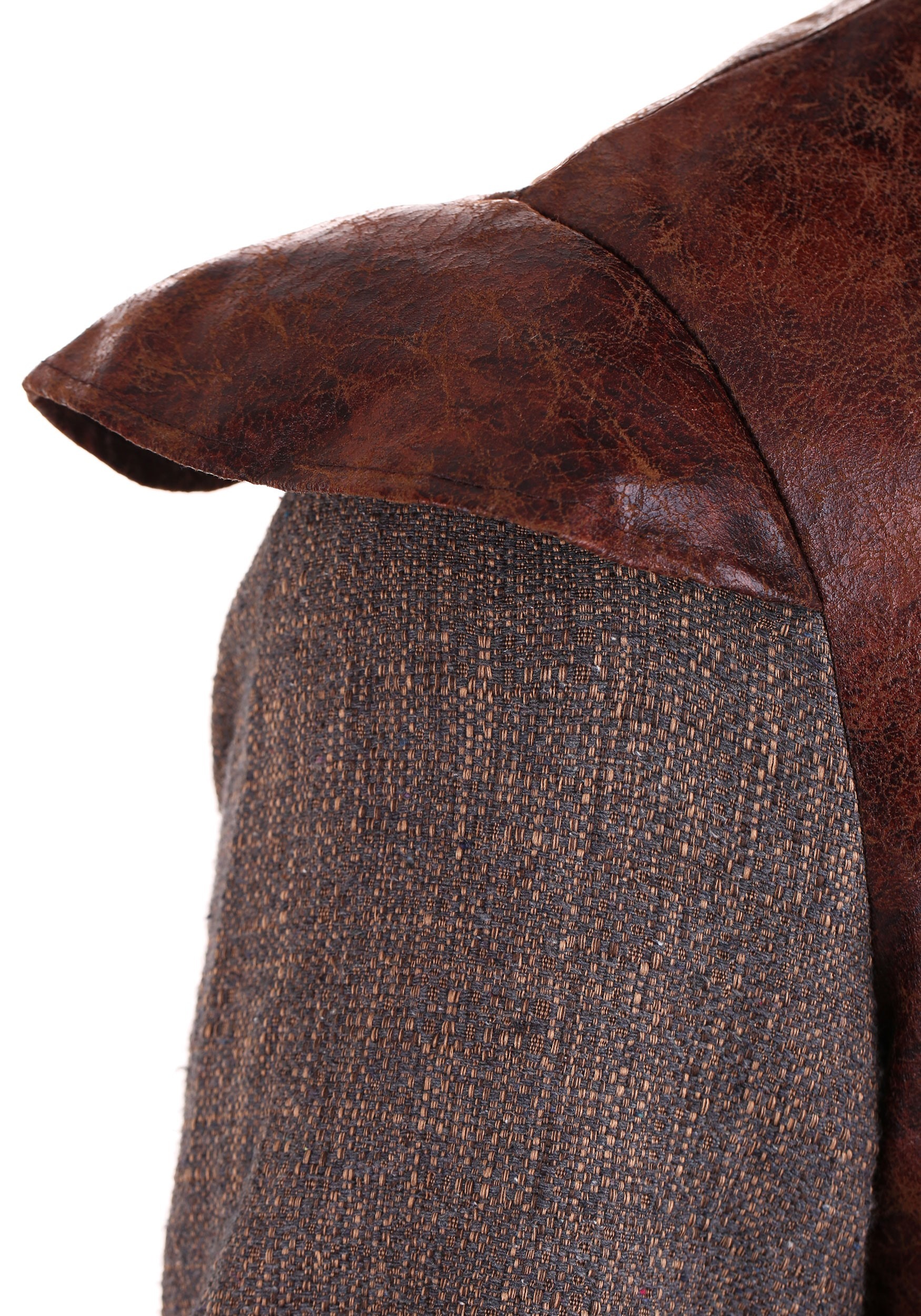 Plus Size Northern King Costume for Men