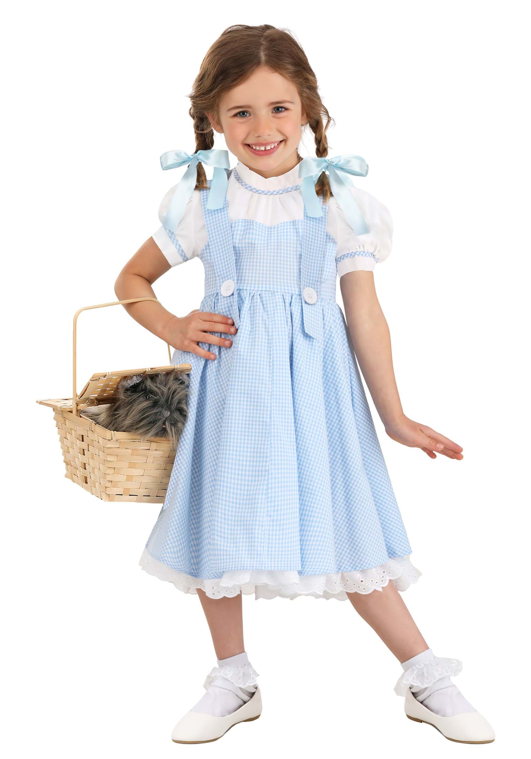 Toddler Deluxe Kansas Girl Costume Dress