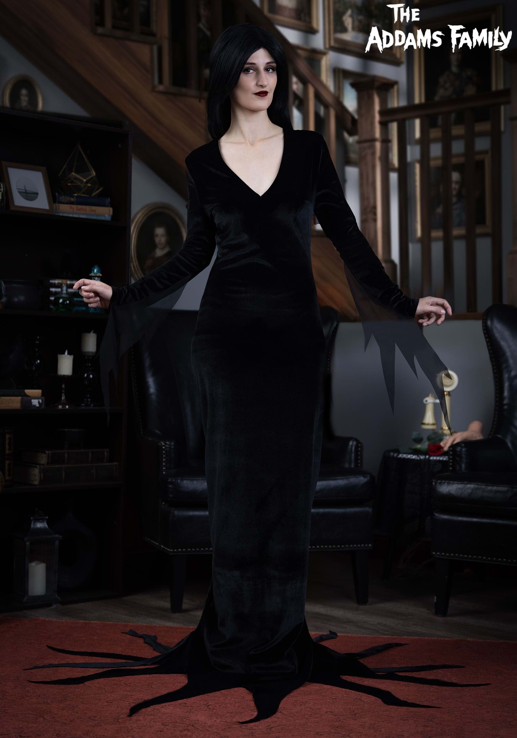 Women's 1960s Morticia Addams Costume
