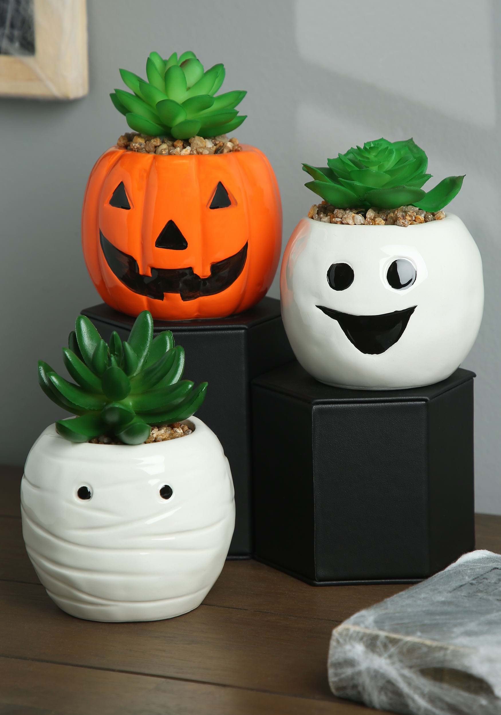 Halloween Ghost, Mummy, and Pumpkin Succulent Planter Decorative Set