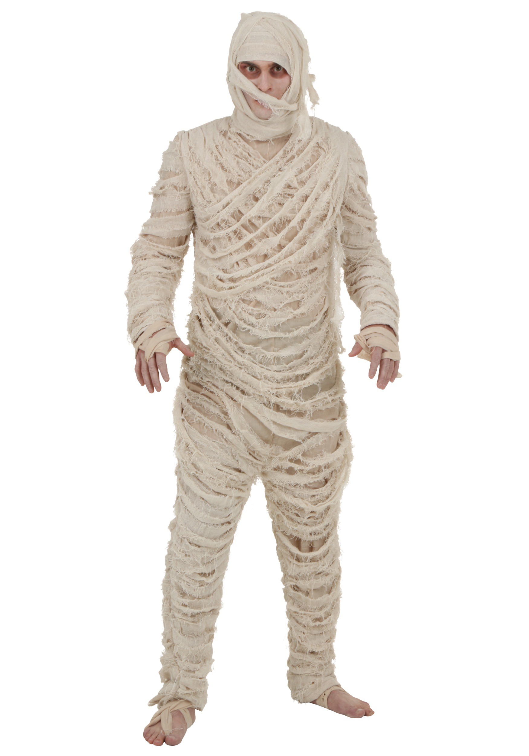 Men's Mummy Plus Size Costume