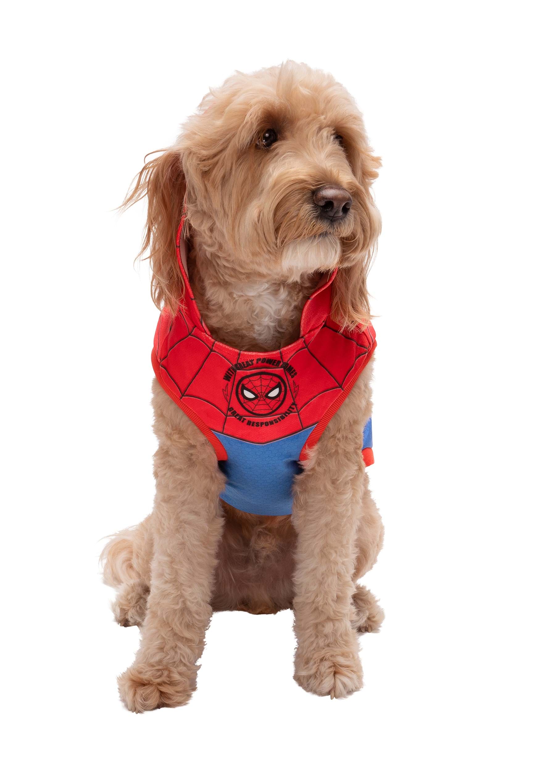Spider-Man Costume Hoodie for Pets 1 Spider-Man Costume Hoodie for Pets