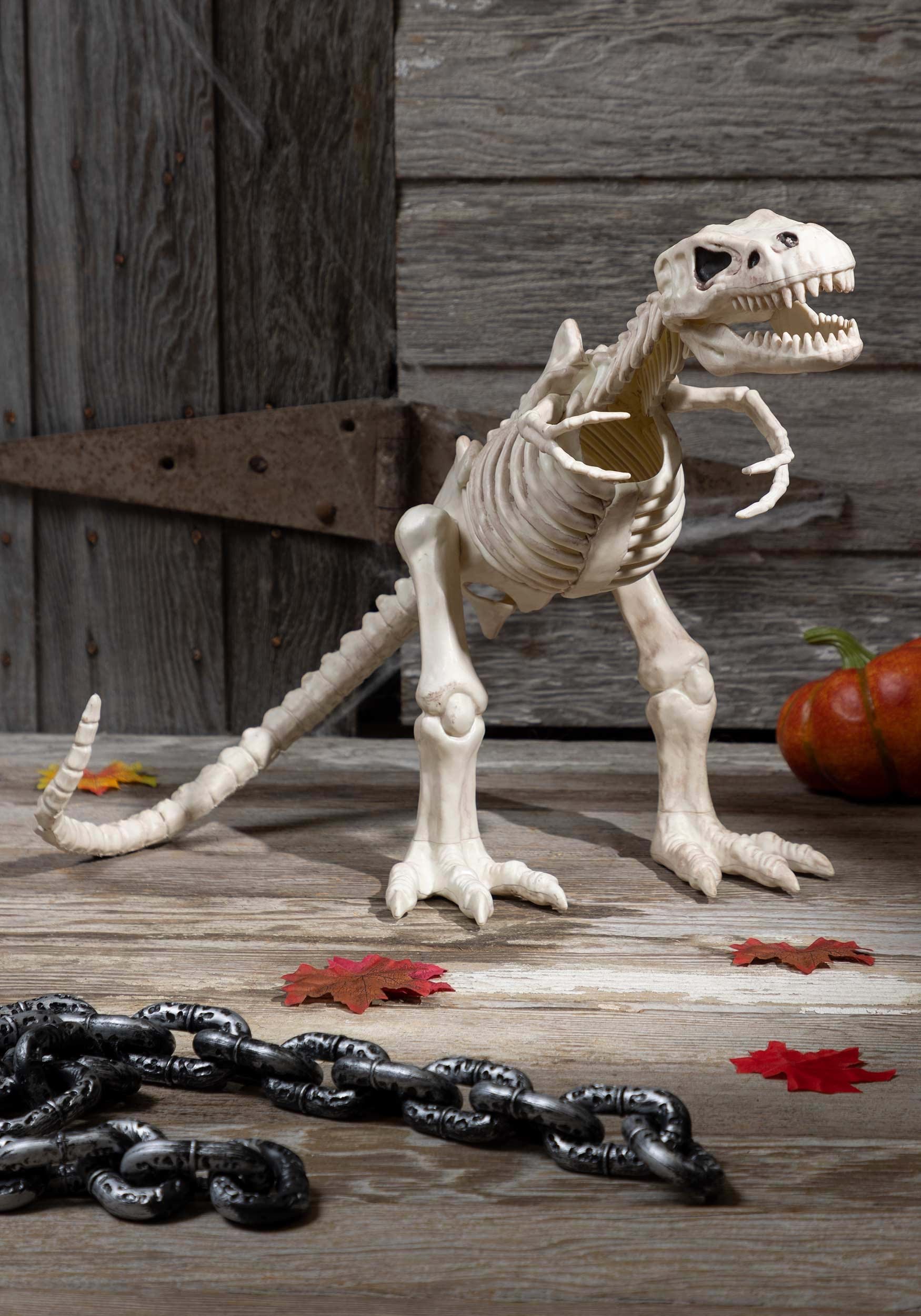 16-Inch T-Rex Bones Skeleton Decoration 1 16-Inch T-Rex Bones Skeleton Decoration