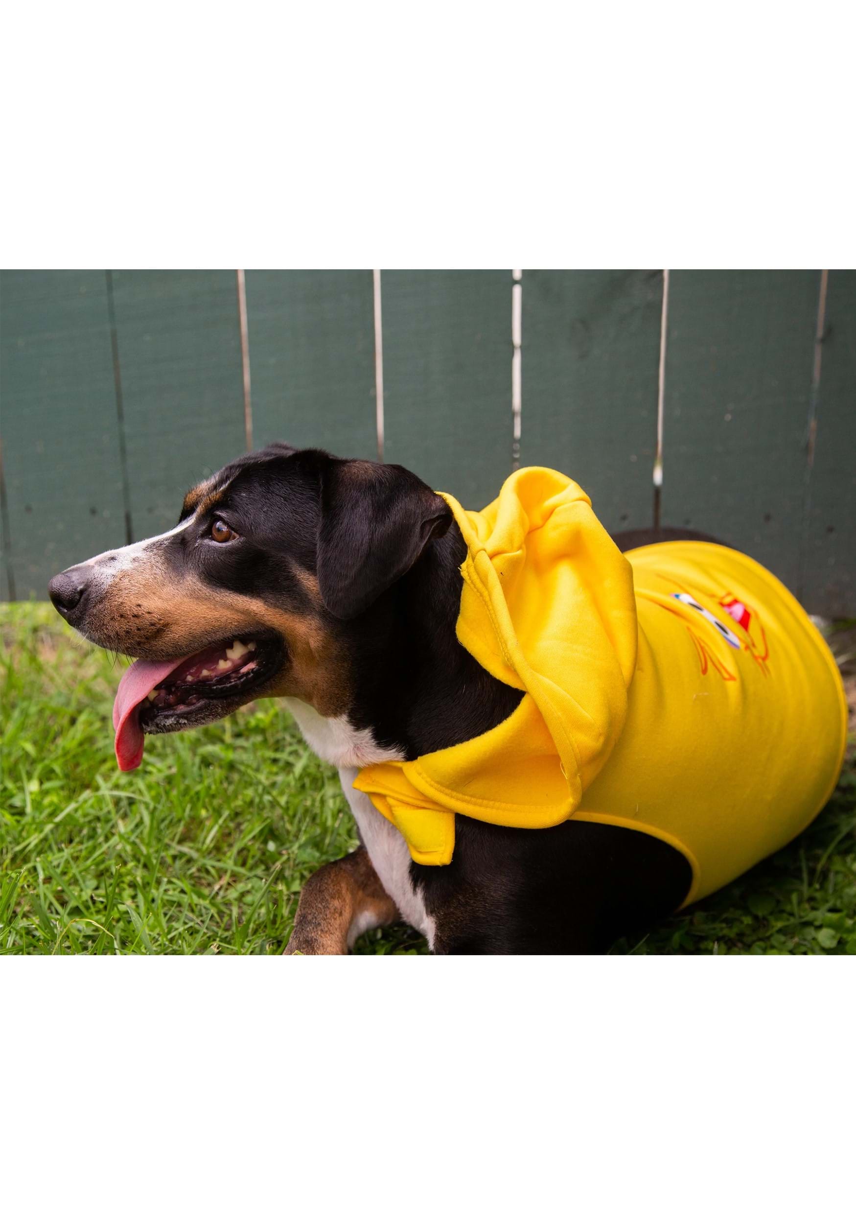 Sesame Street Big Bird hoodie Pet Costume 4 Sesame Street Big Bird hoodie Pet Costume