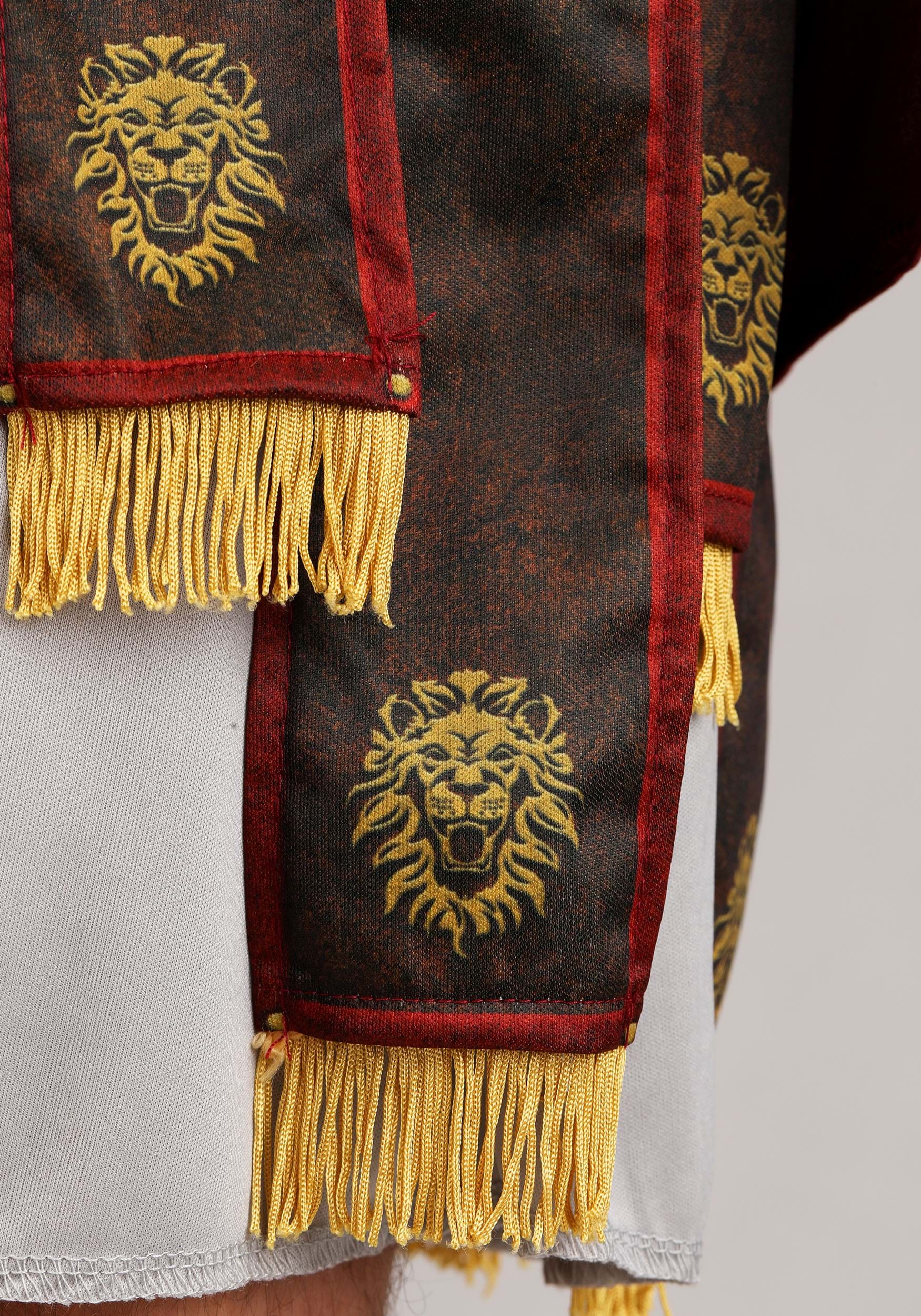 Roman Warrior Costume for Men 9 Roman Warrior Costume for Men
