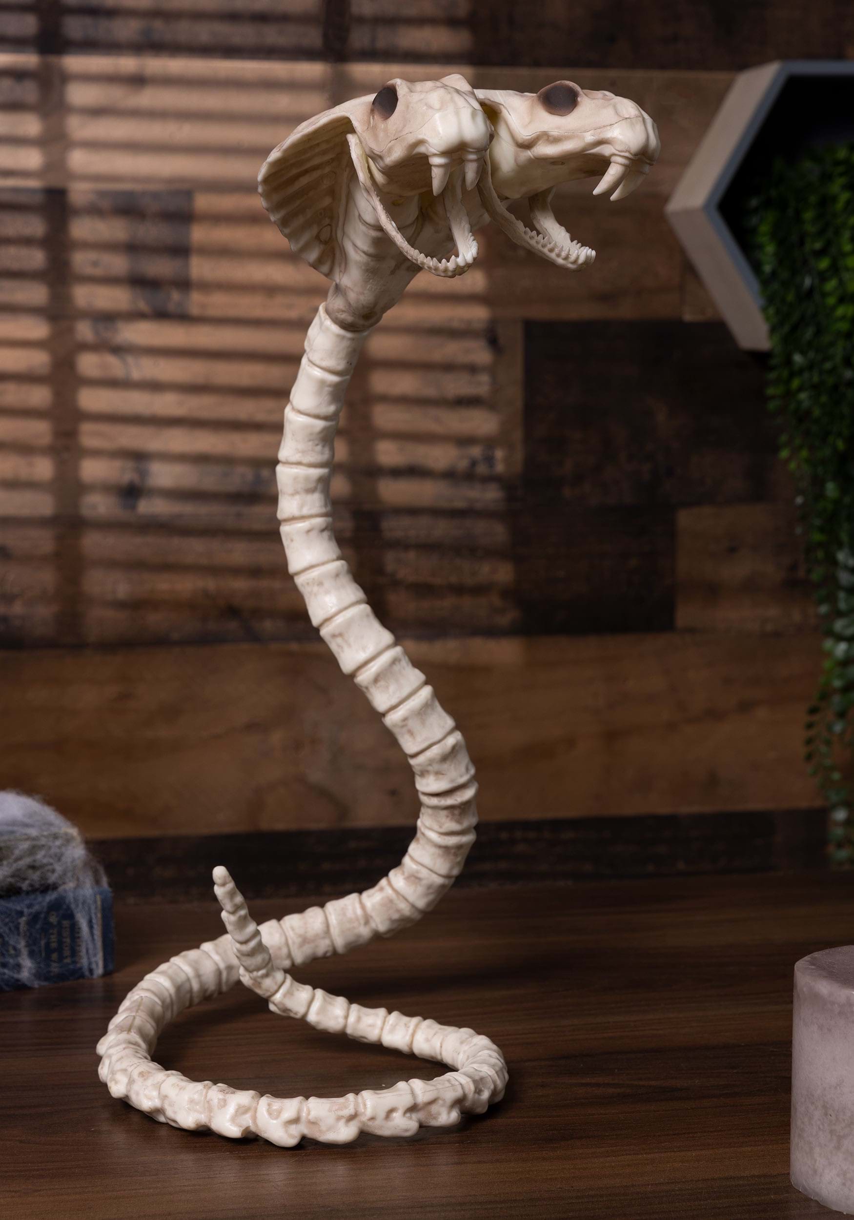 41-Inch Double Headed Skeleton Cobra Decoration