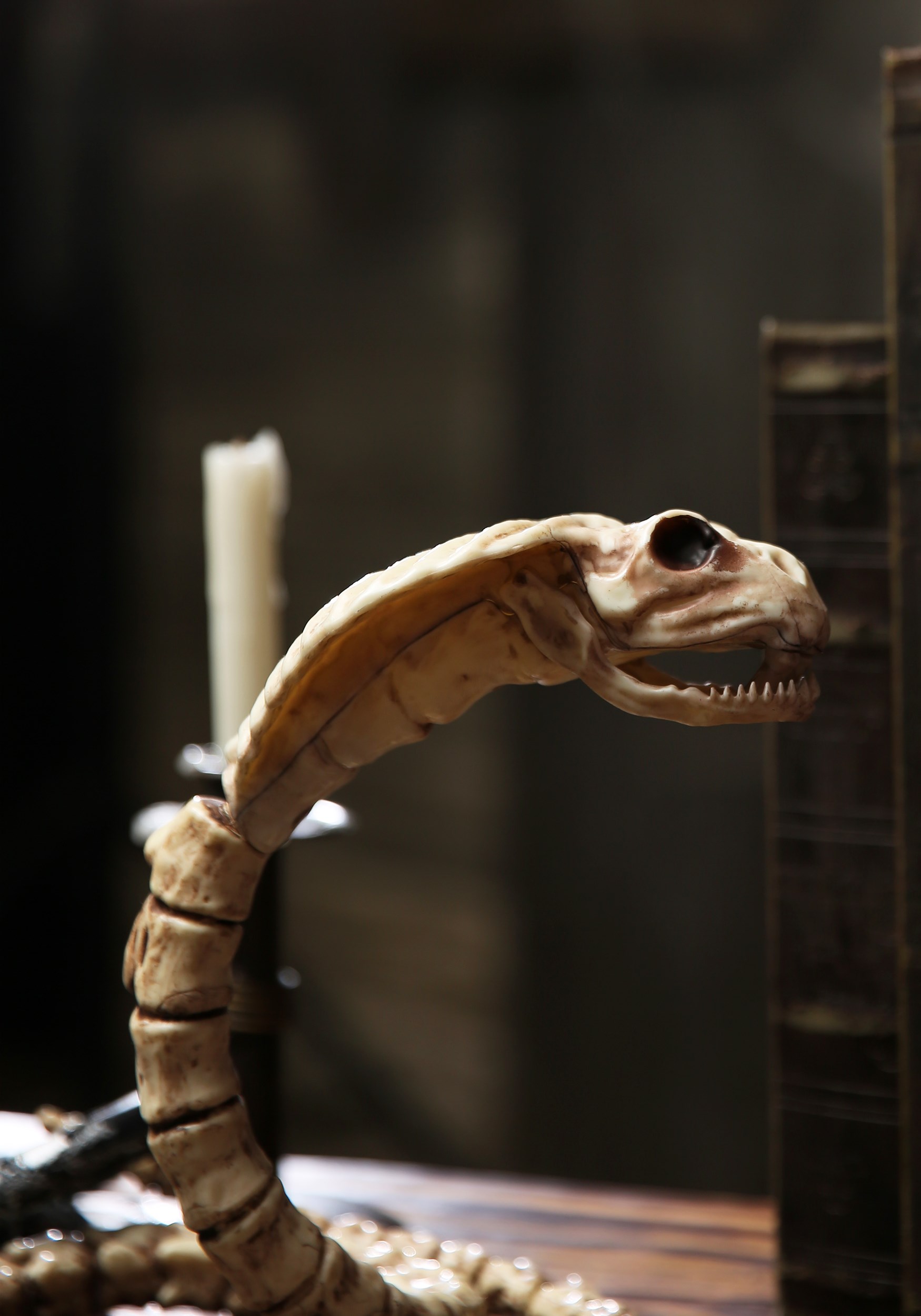 39" Cobra Skeleton Halloween Prop