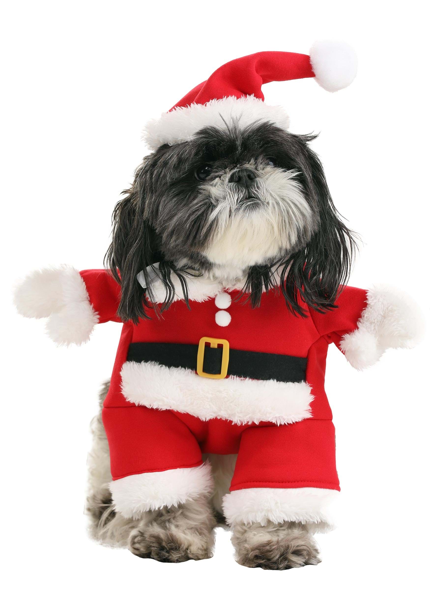 Classic Santa Costume for Pets