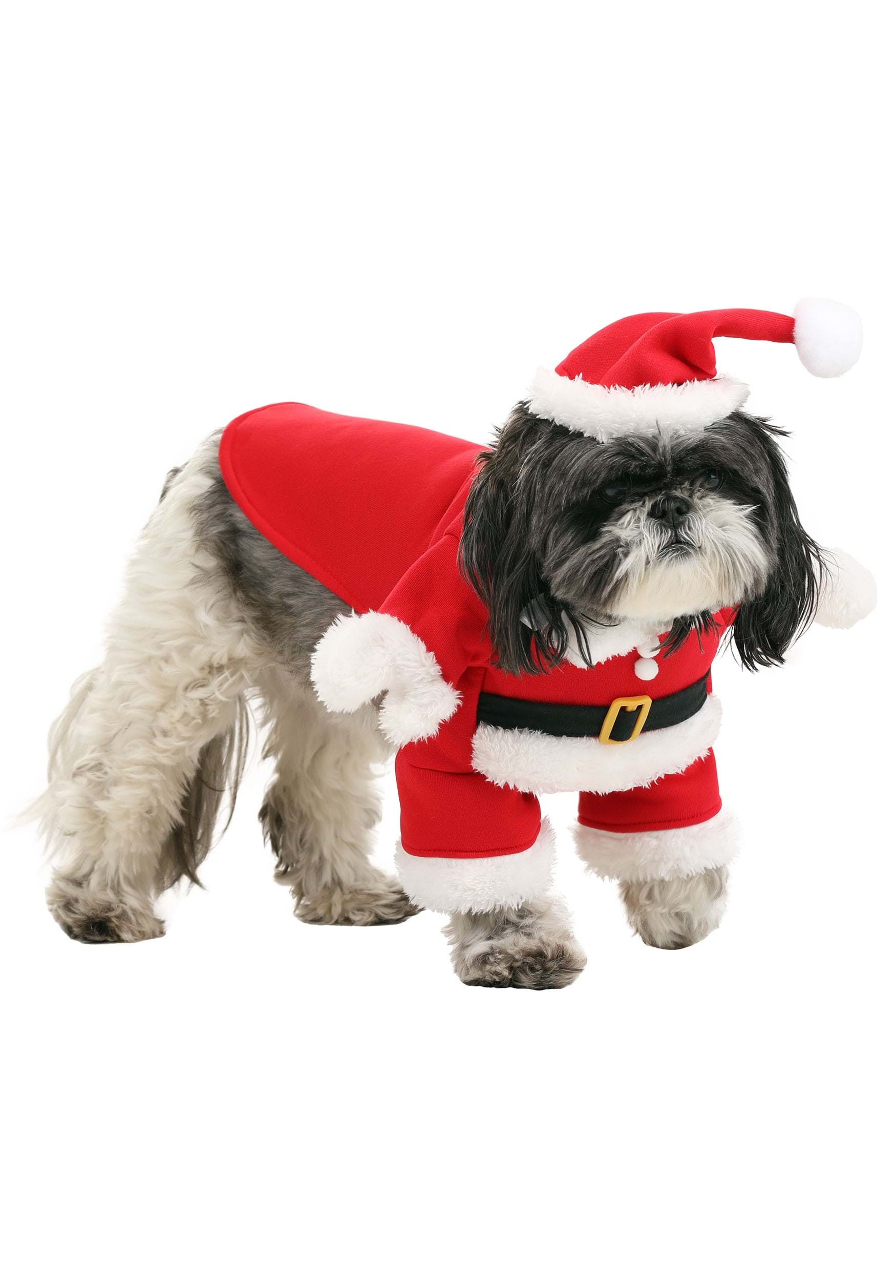 Classic Santa Costume for Pets