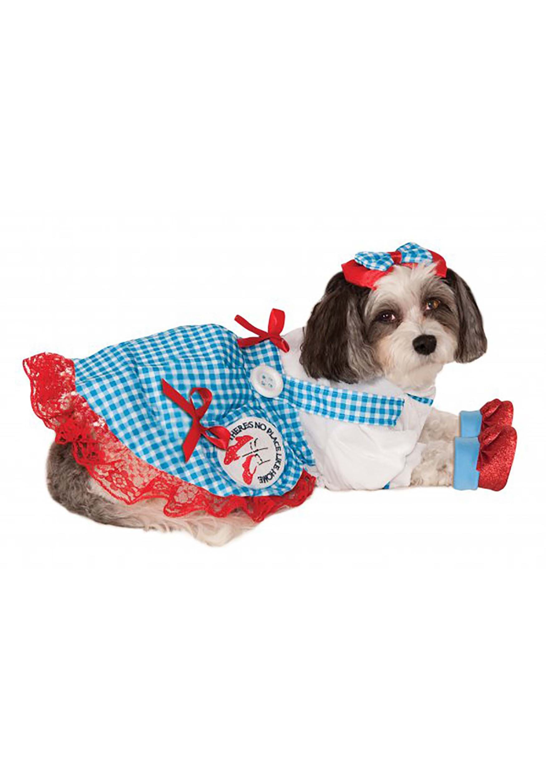 Dorothy in Oz Pet Costume