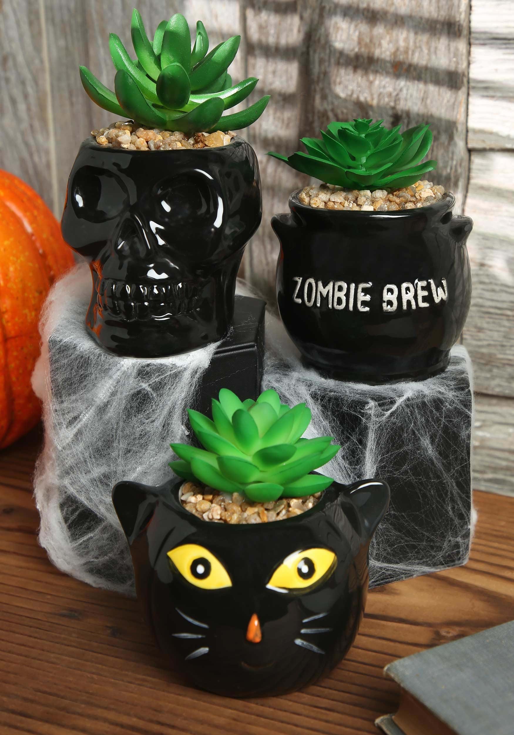 Cauldron, Cat & Skeleton Decorative Planter Succulent Set