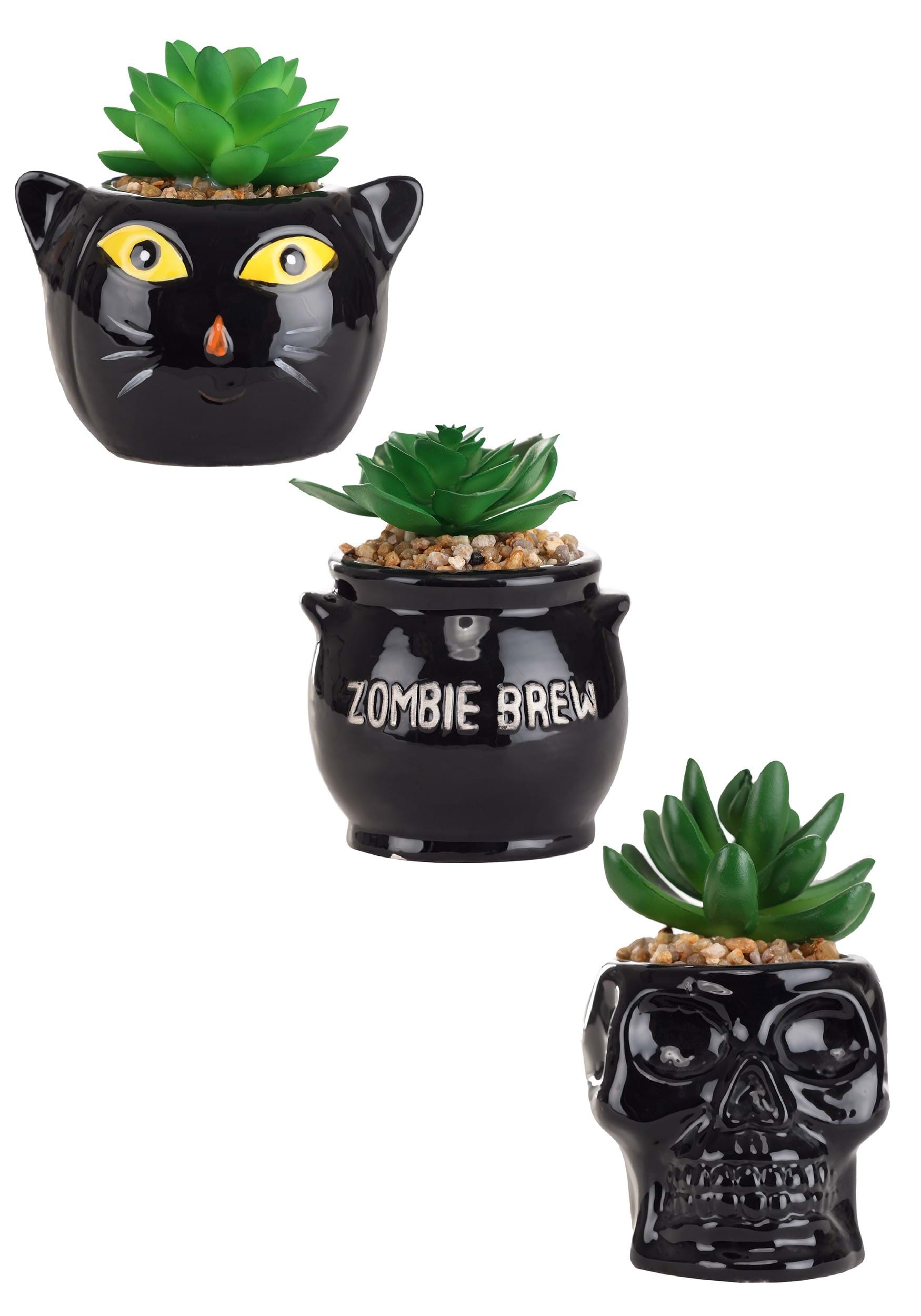 Cauldron, Cat & Skeleton Decorative Planter Succulent Set