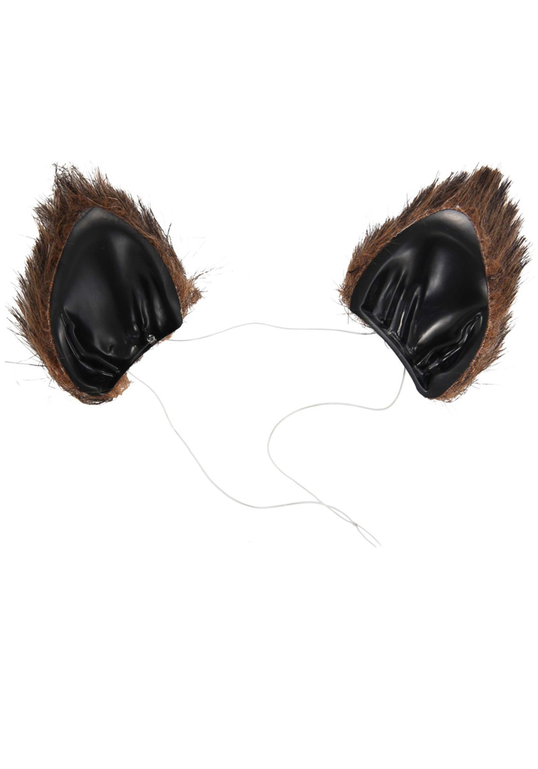 Cat Ears & Tail Costume Kit