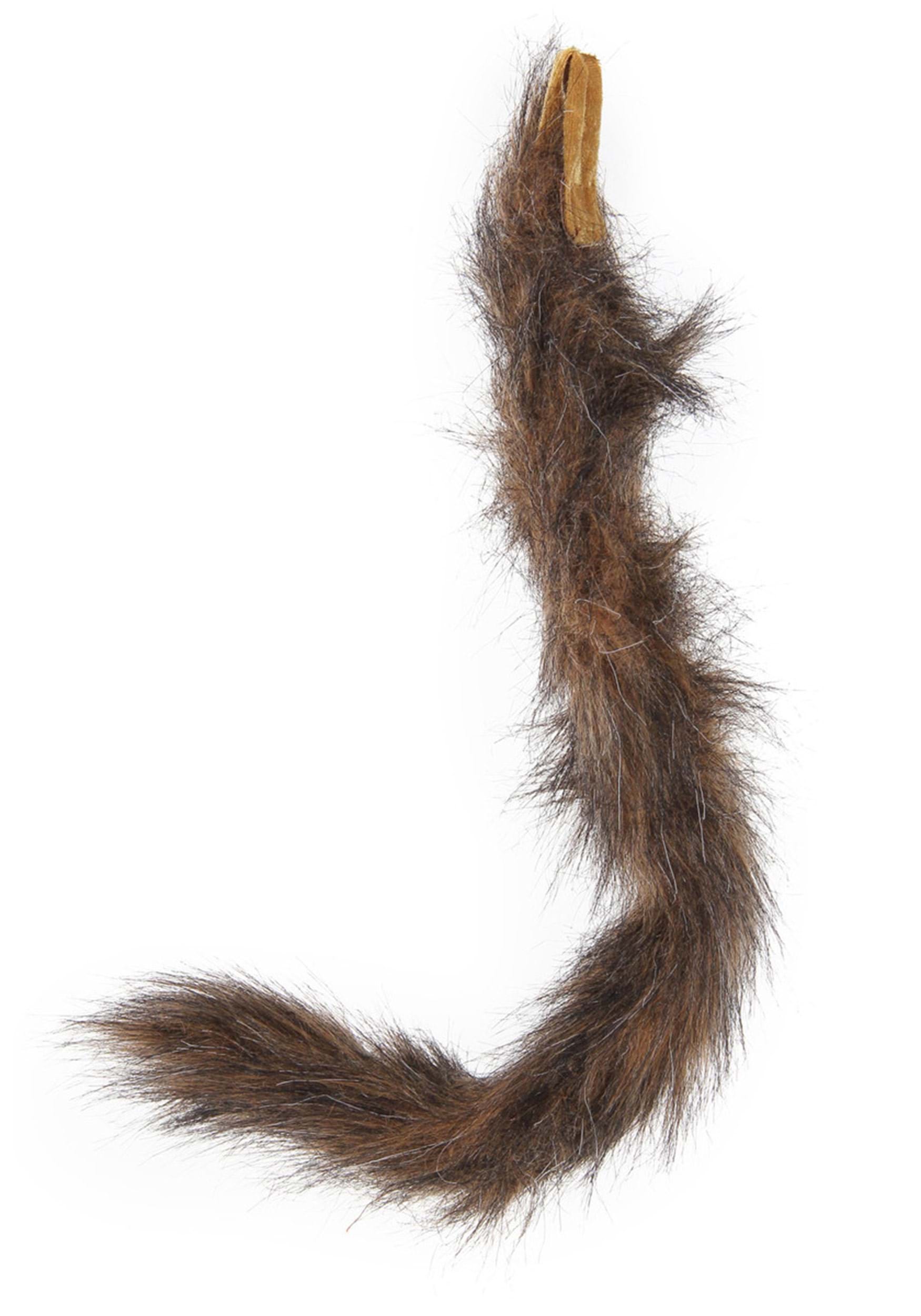 Cat Ears & Tail Costume Kit