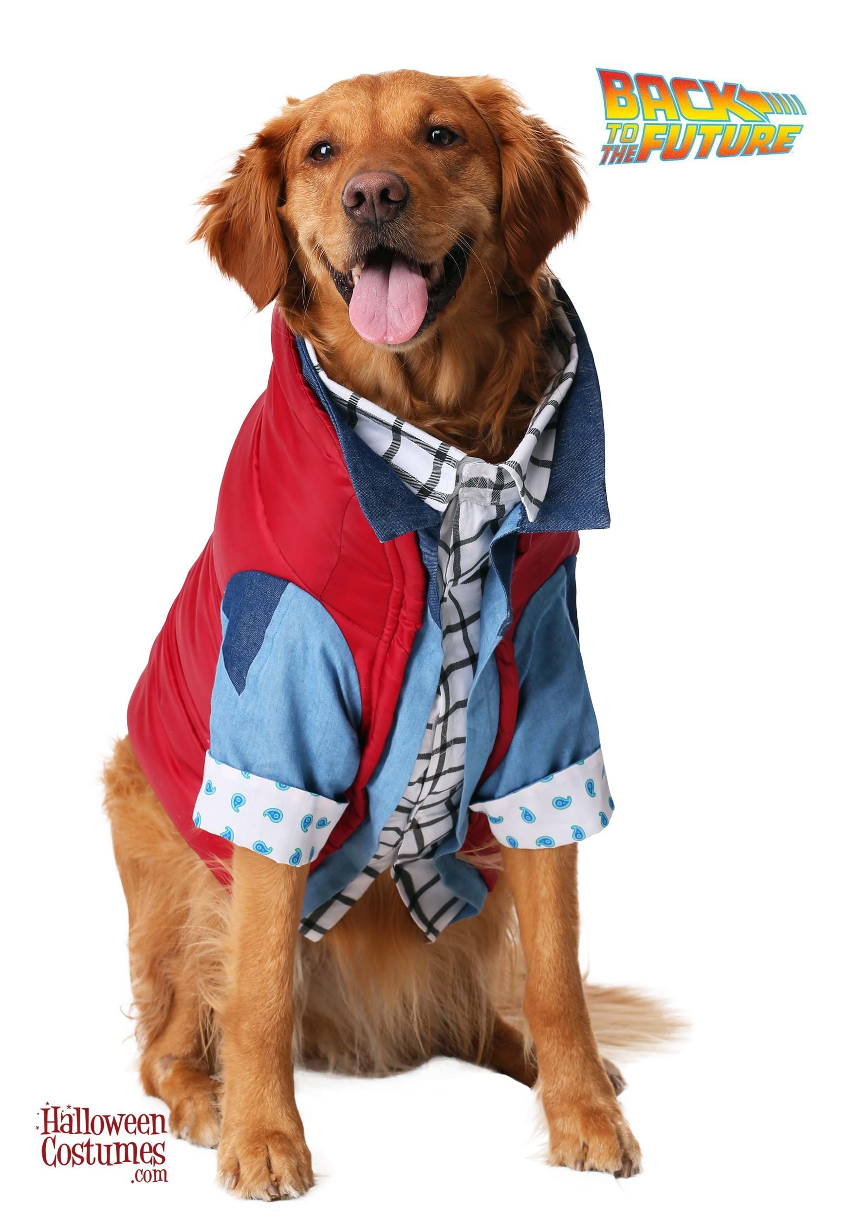 Back to the Future Marty McFly Dog Costume