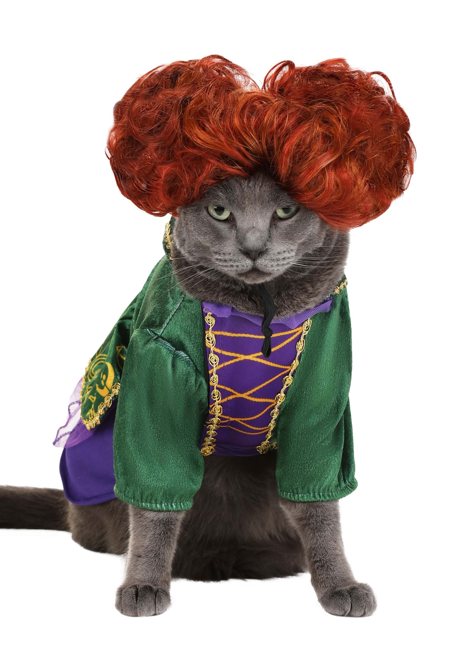 Disney Hocus Pocus Winifred Sanderson Pet Costume