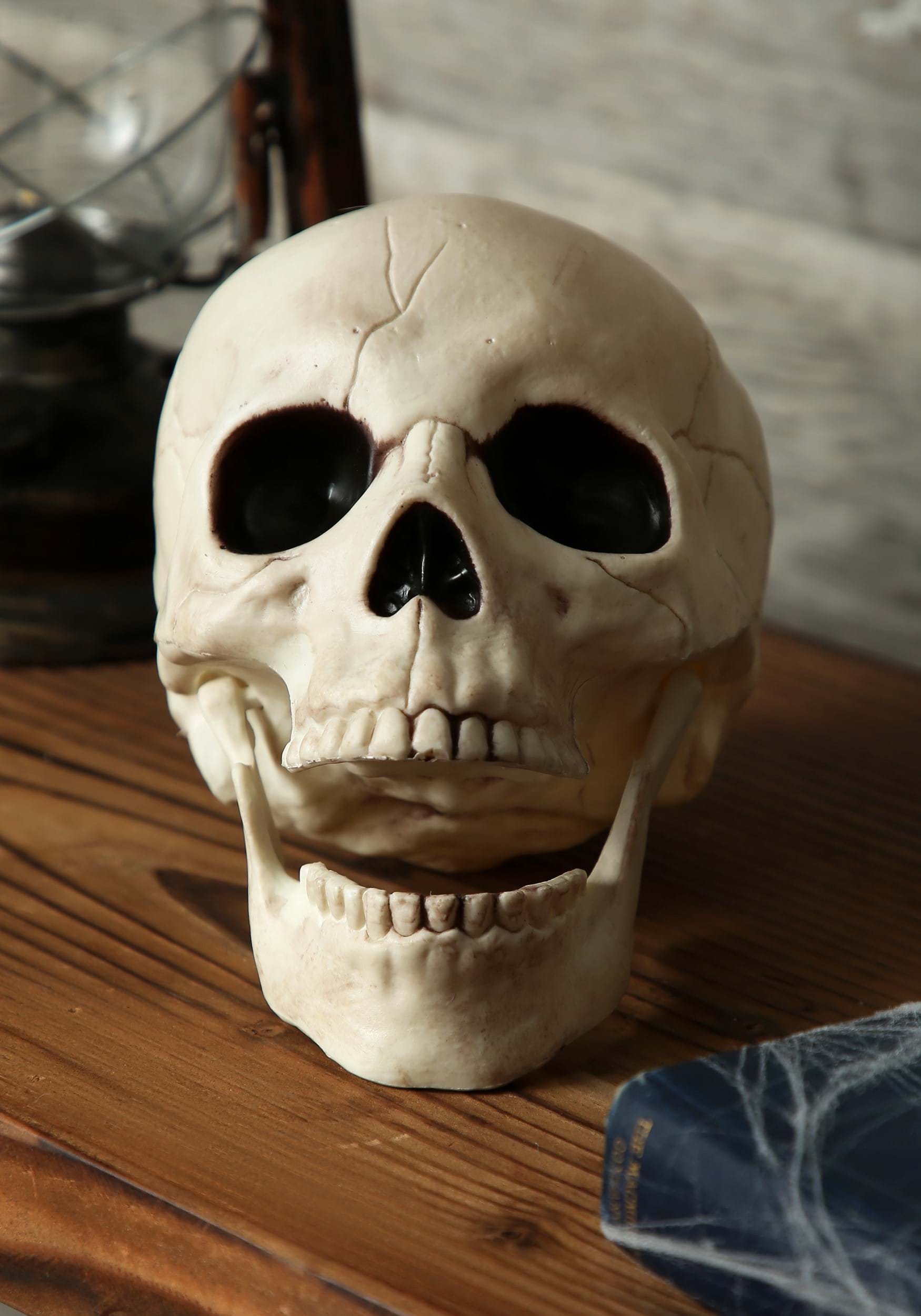 7-Inch Skull with Movable Jaw Halloween Prop