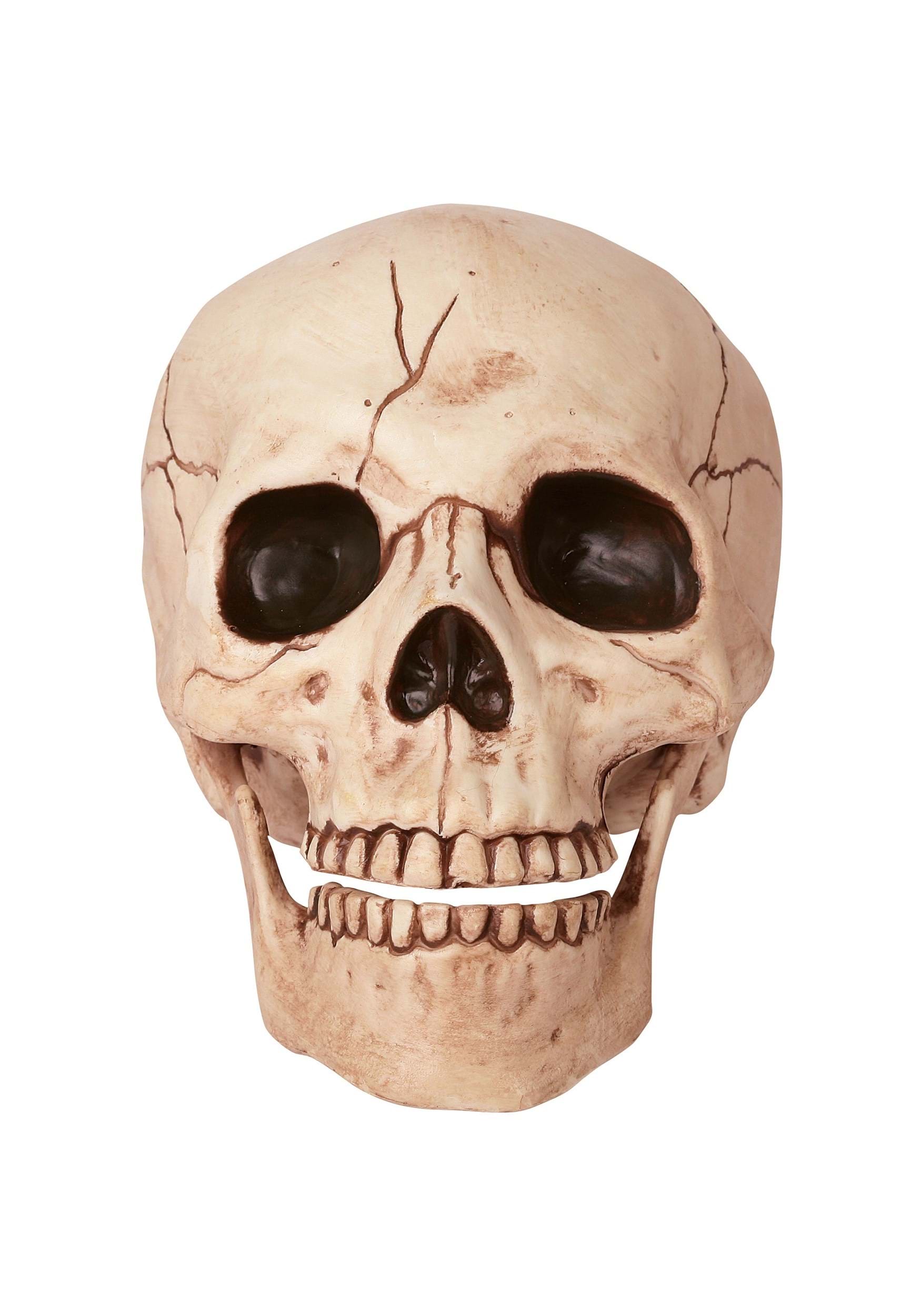 7-Inch Skull with Movable Jaw Halloween Prop