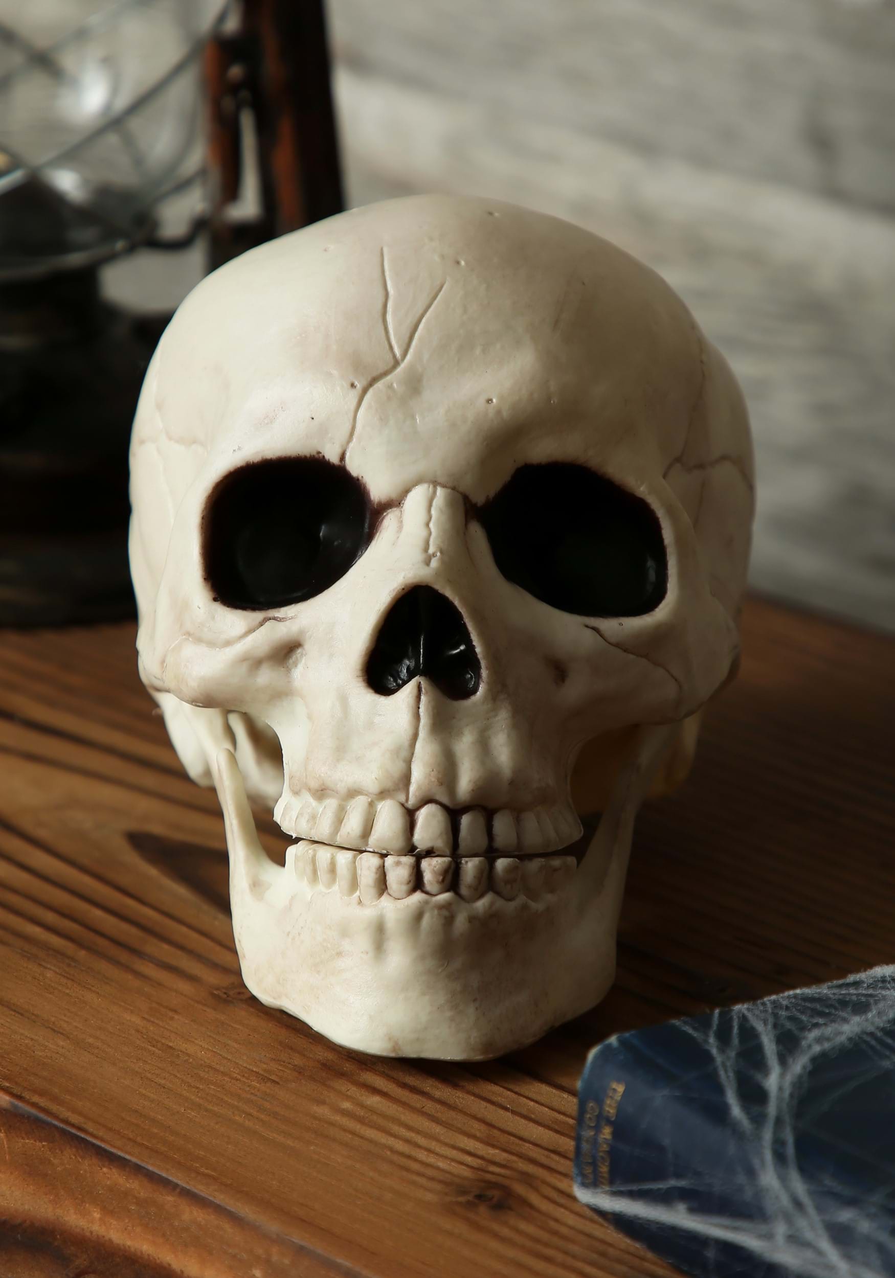 7-Inch Skull with Movable Jaw Halloween Prop