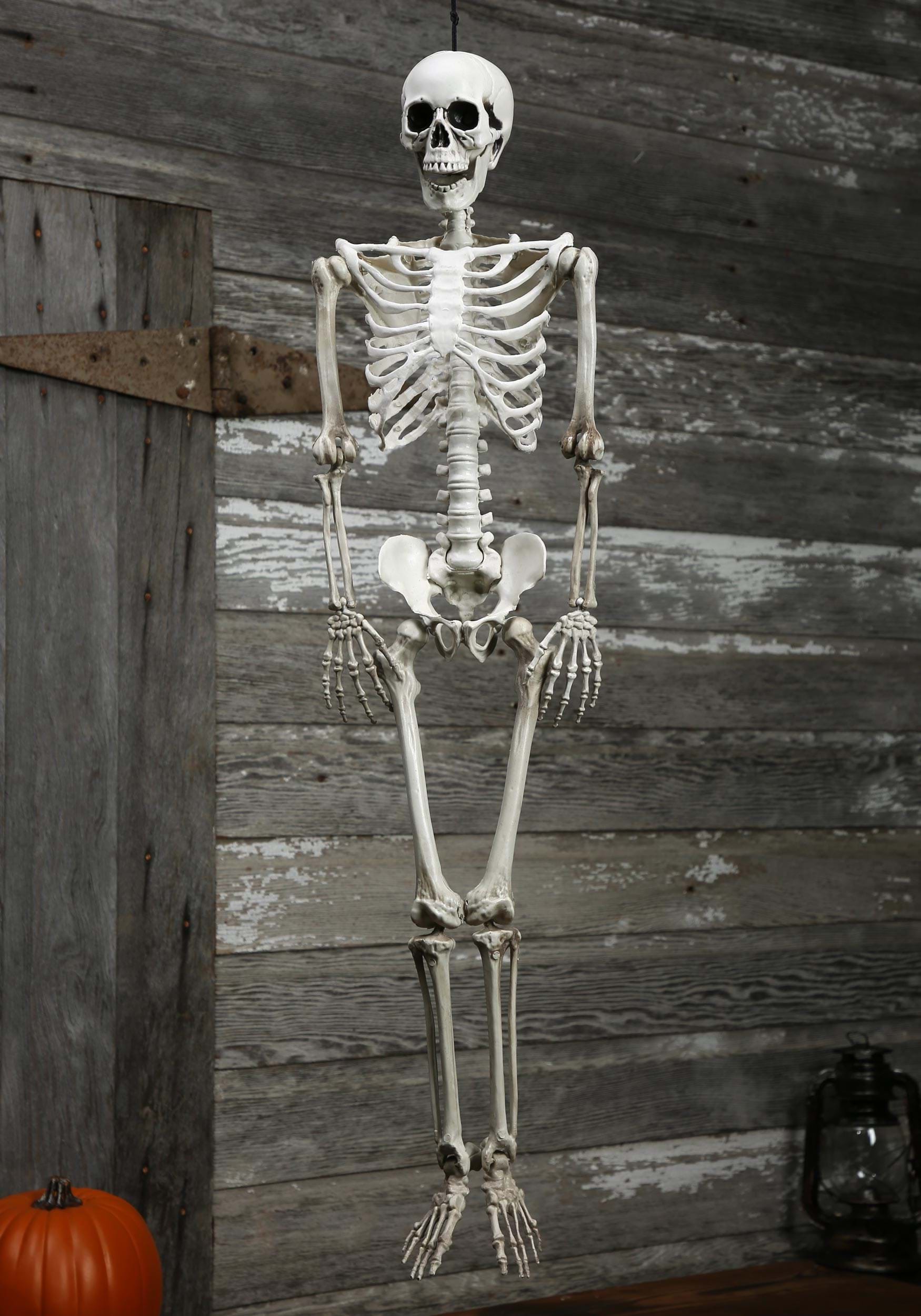 3FT Plastic Realistic Skeleton Halloween Decoration 1 3FT Plastic Realistic Skeleton Halloween Decoration