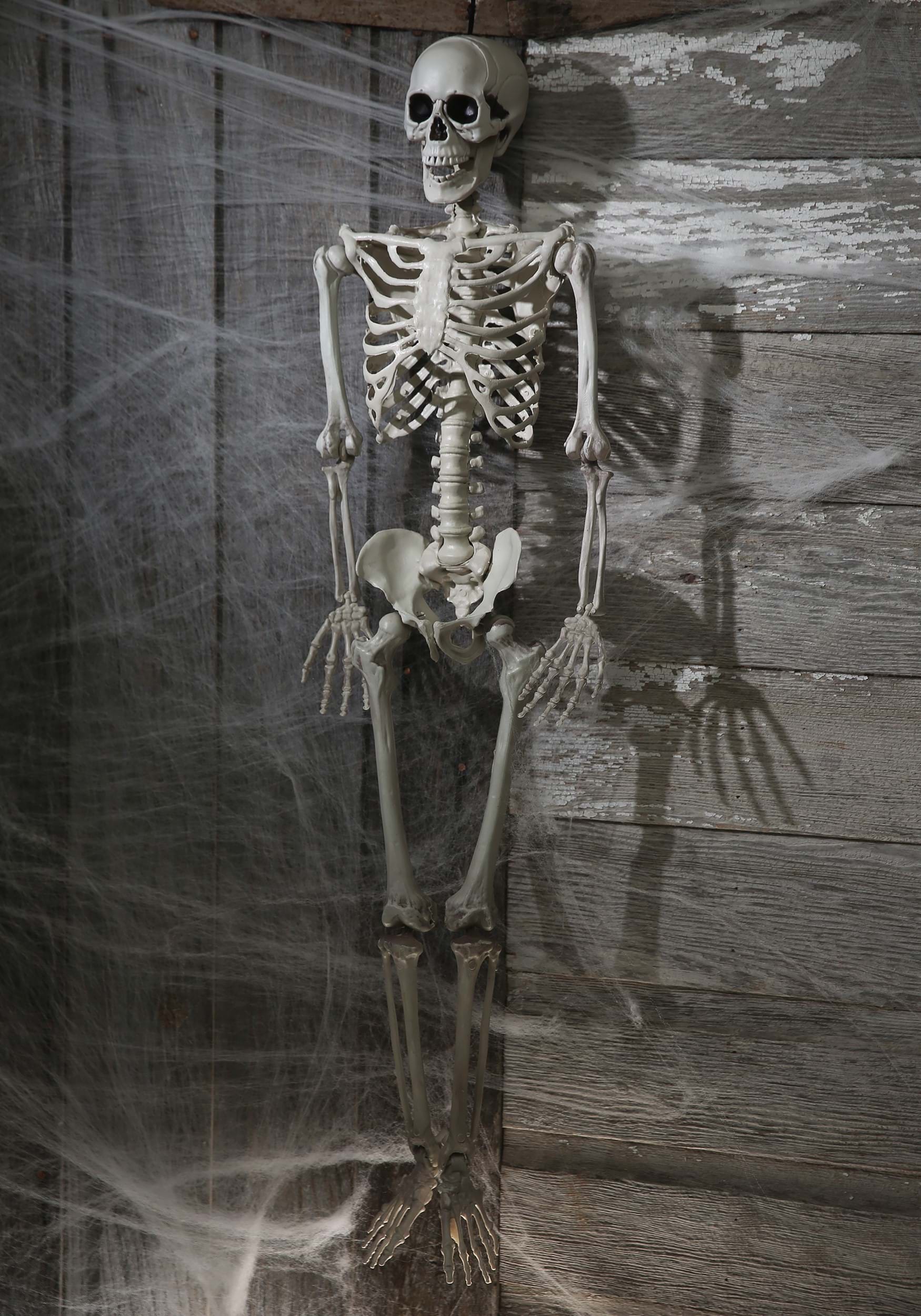 3FT Plastic Realistic Skeleton Halloween Decoration 2 3FT Plastic Realistic Skeleton Halloween Decoration
