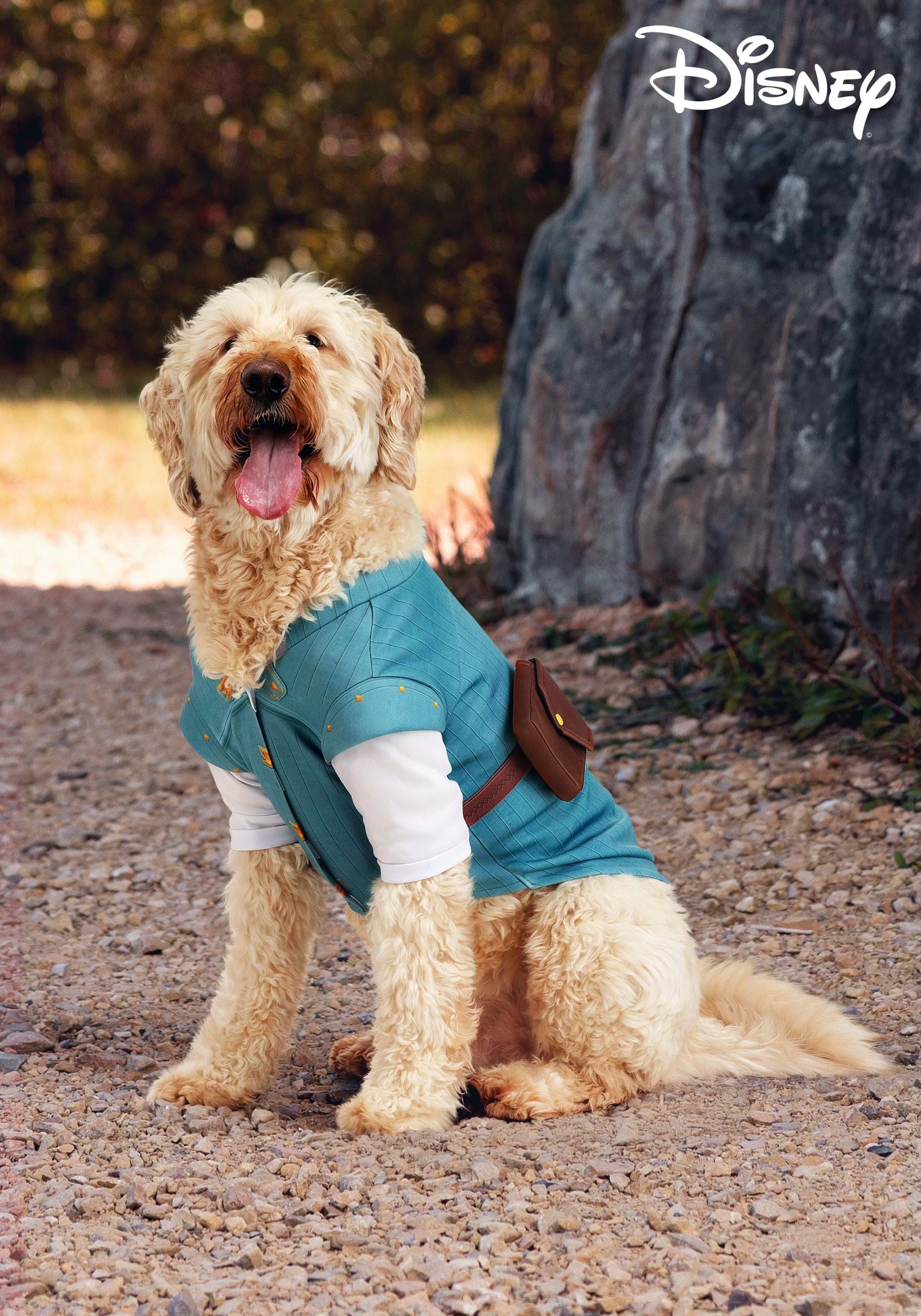 Disney Tangled Flynn Rider Pet Costume