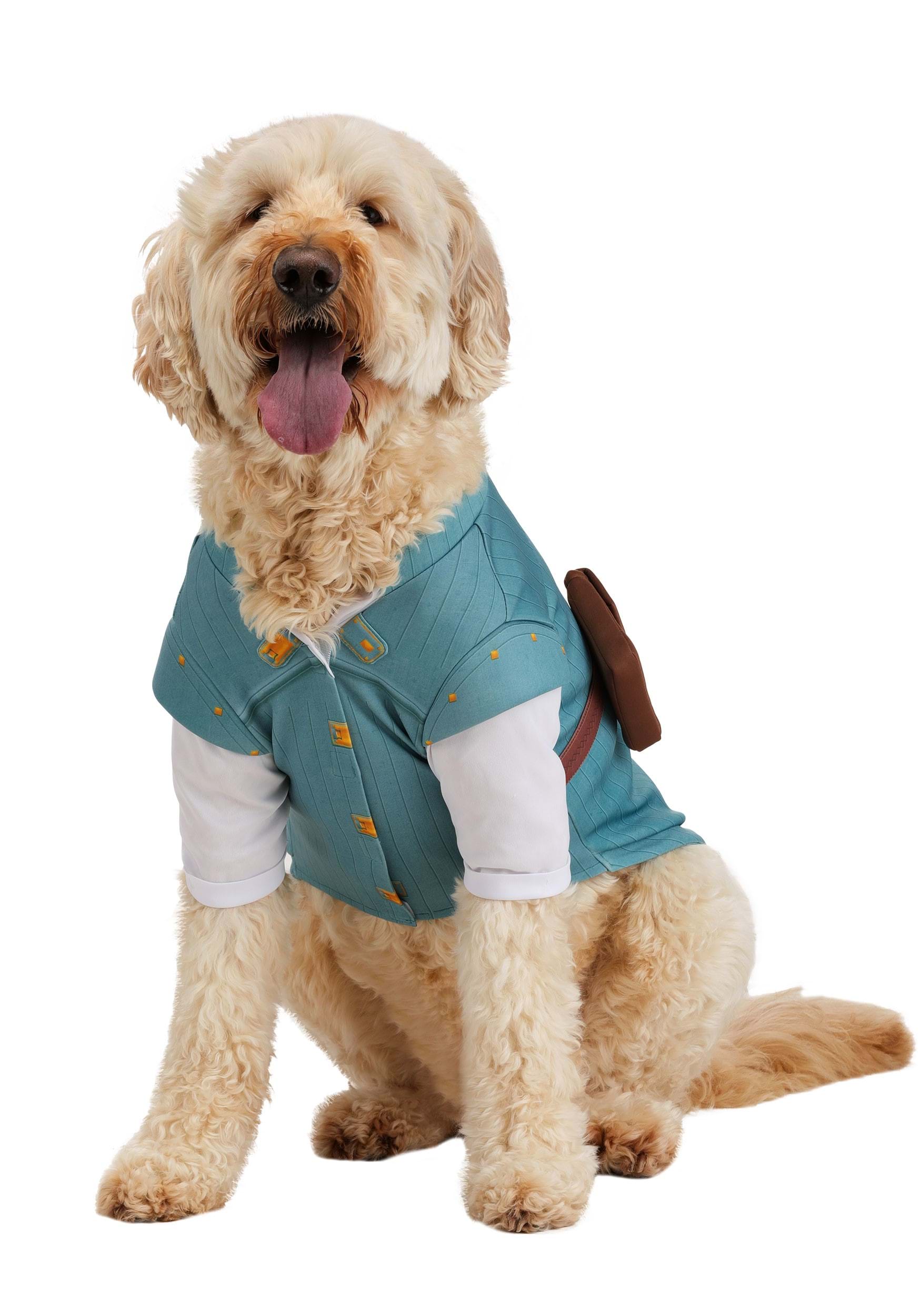 Disney Tangled Flynn Rider Pet Costume