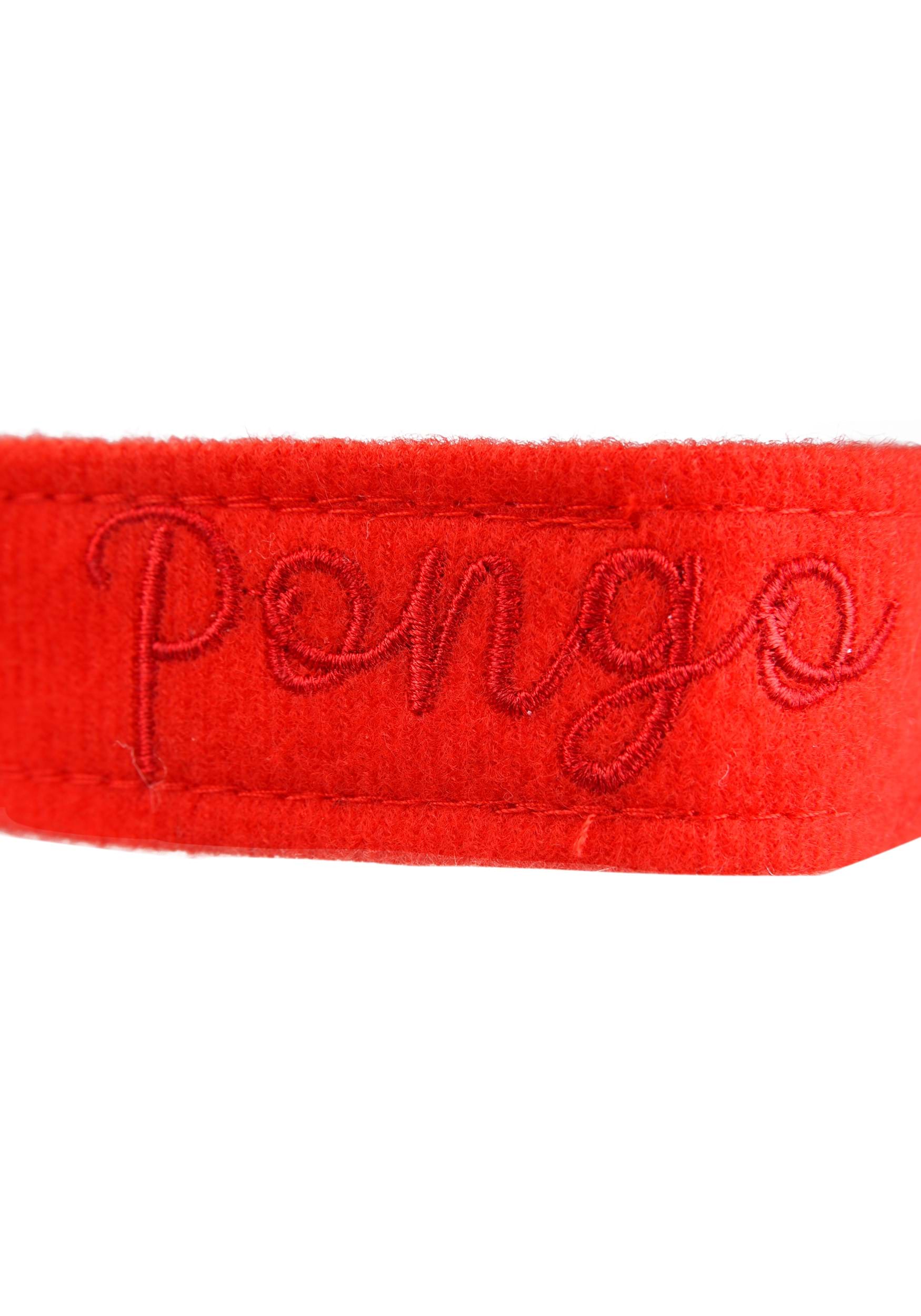 Disney 101 Dalmatians Pongo Headband, Tail and Collar Kit