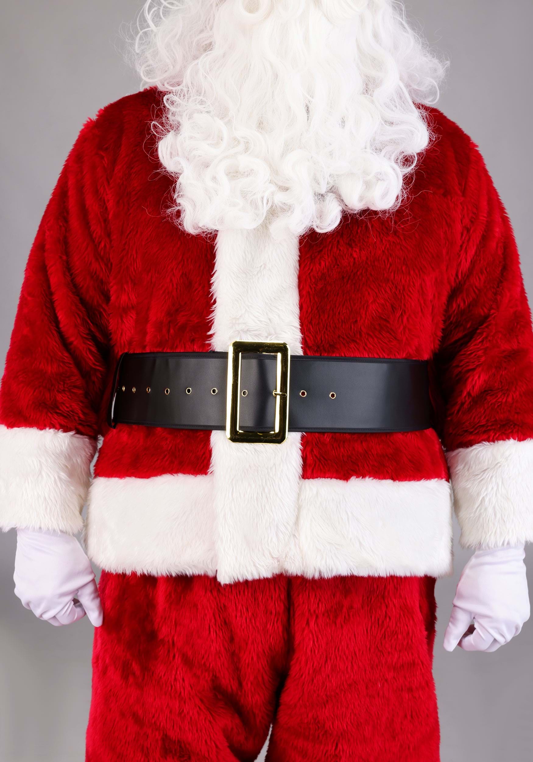 Adult Plus Size Regal Santa Claus Costume