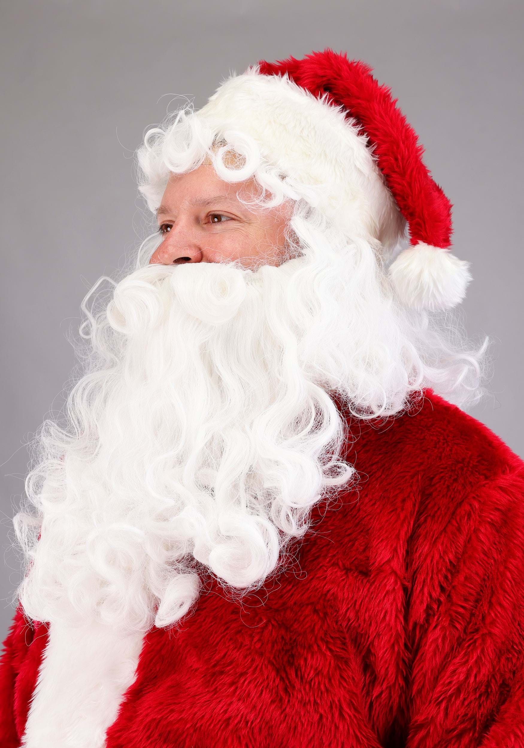 Adult Plus Size Regal Santa Claus Costume