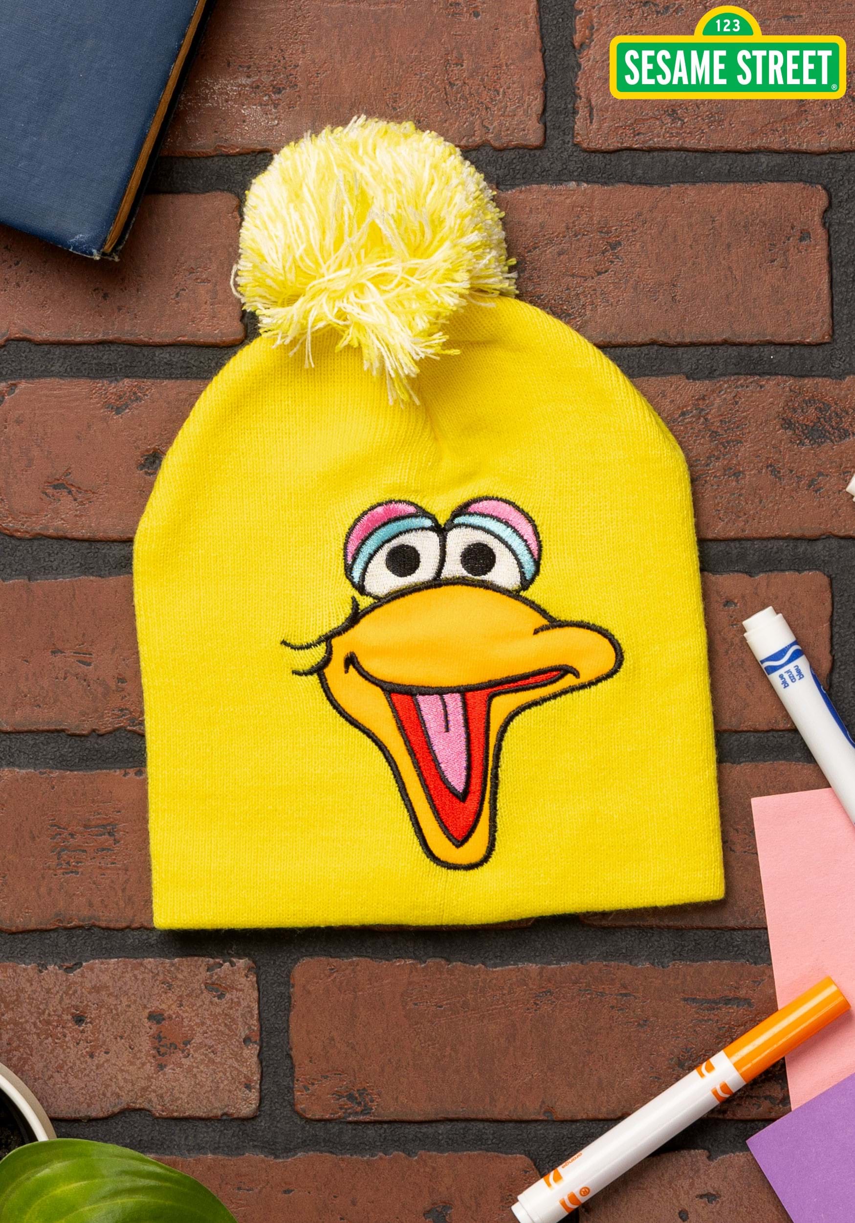 Winter Big Bird Pom Hat 1 Winter Big Bird Pom Hat
