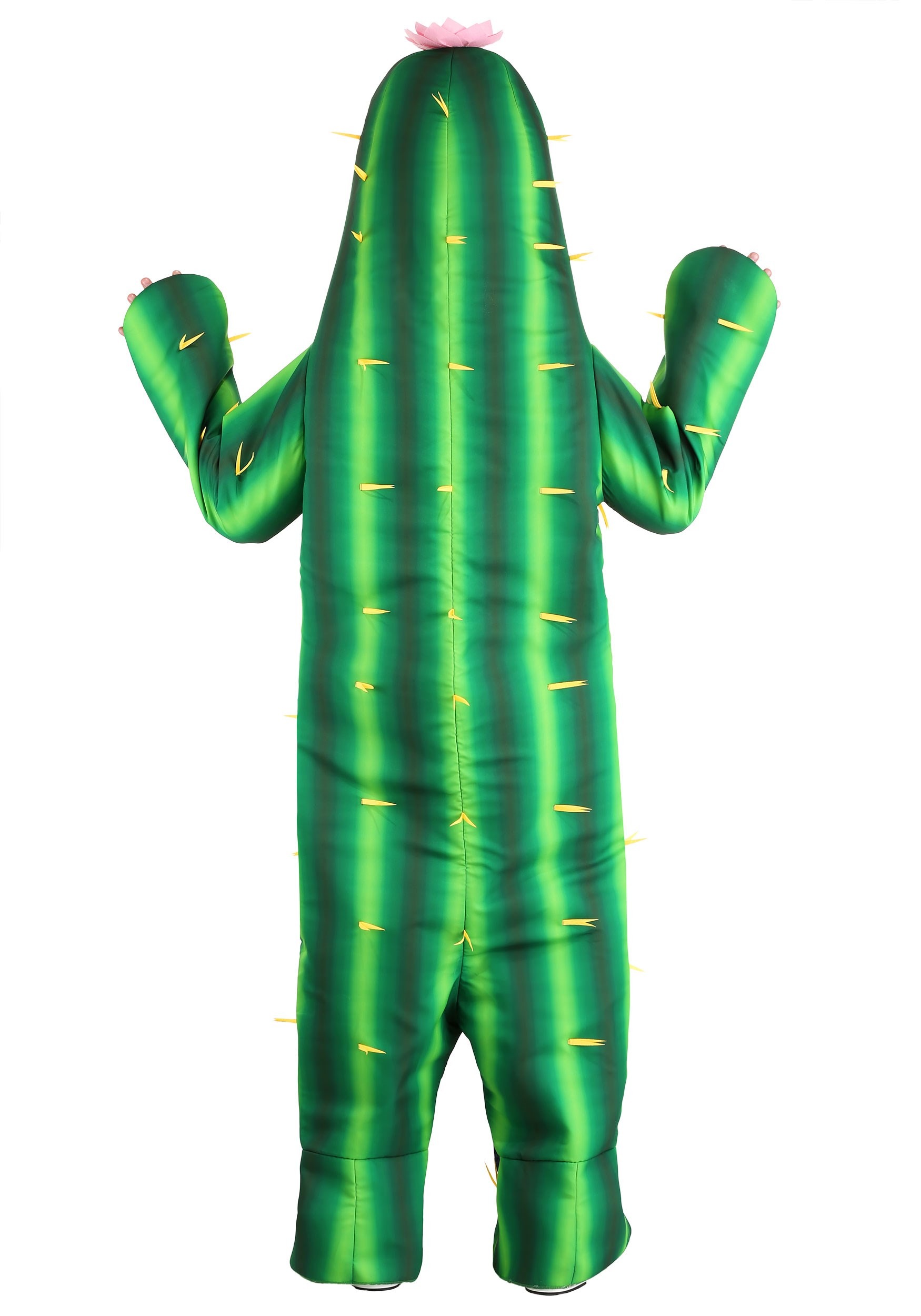 Cactus Costume for Adults