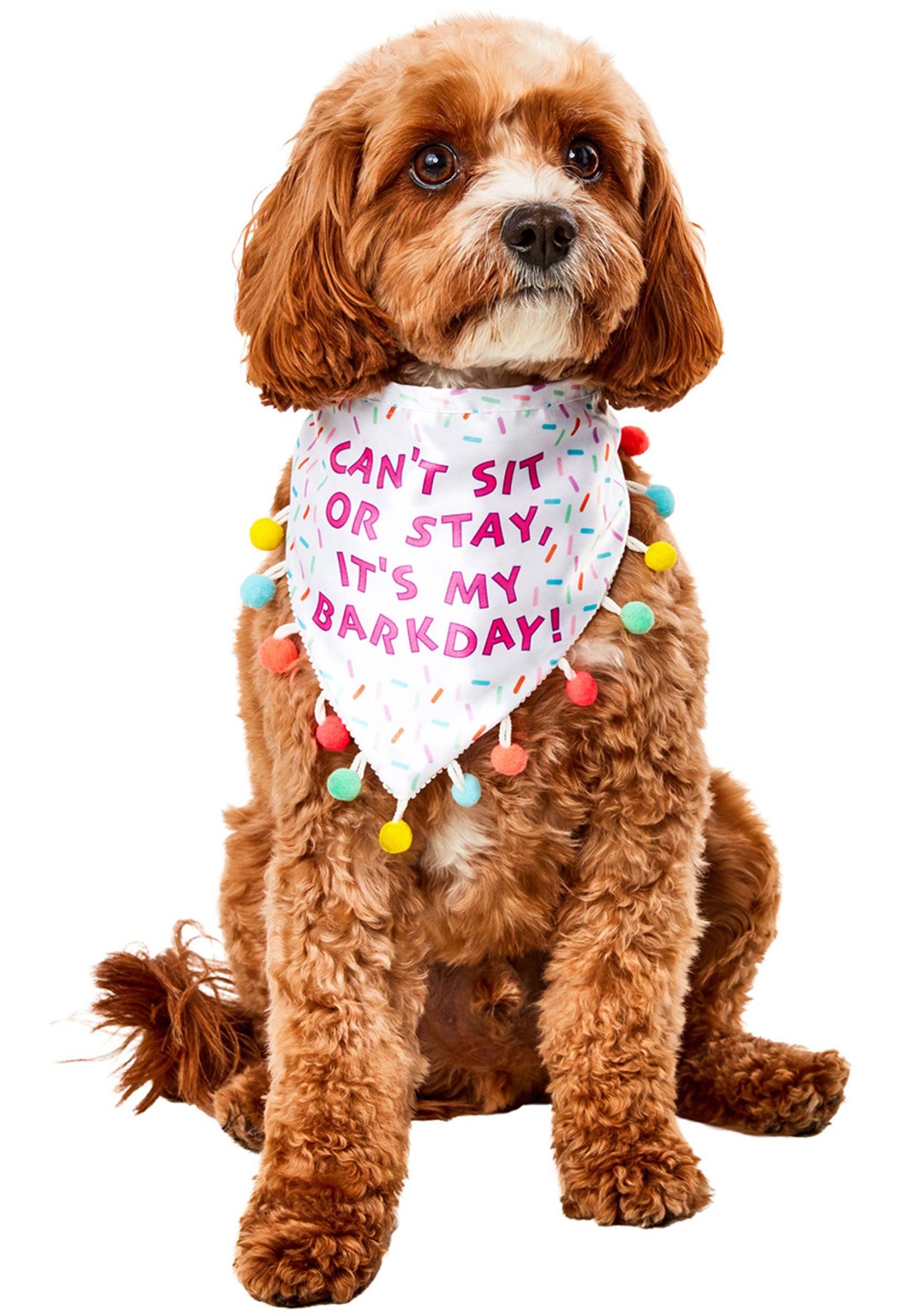 Sprinkle Birthday Bandana Pet Costume for Dogs