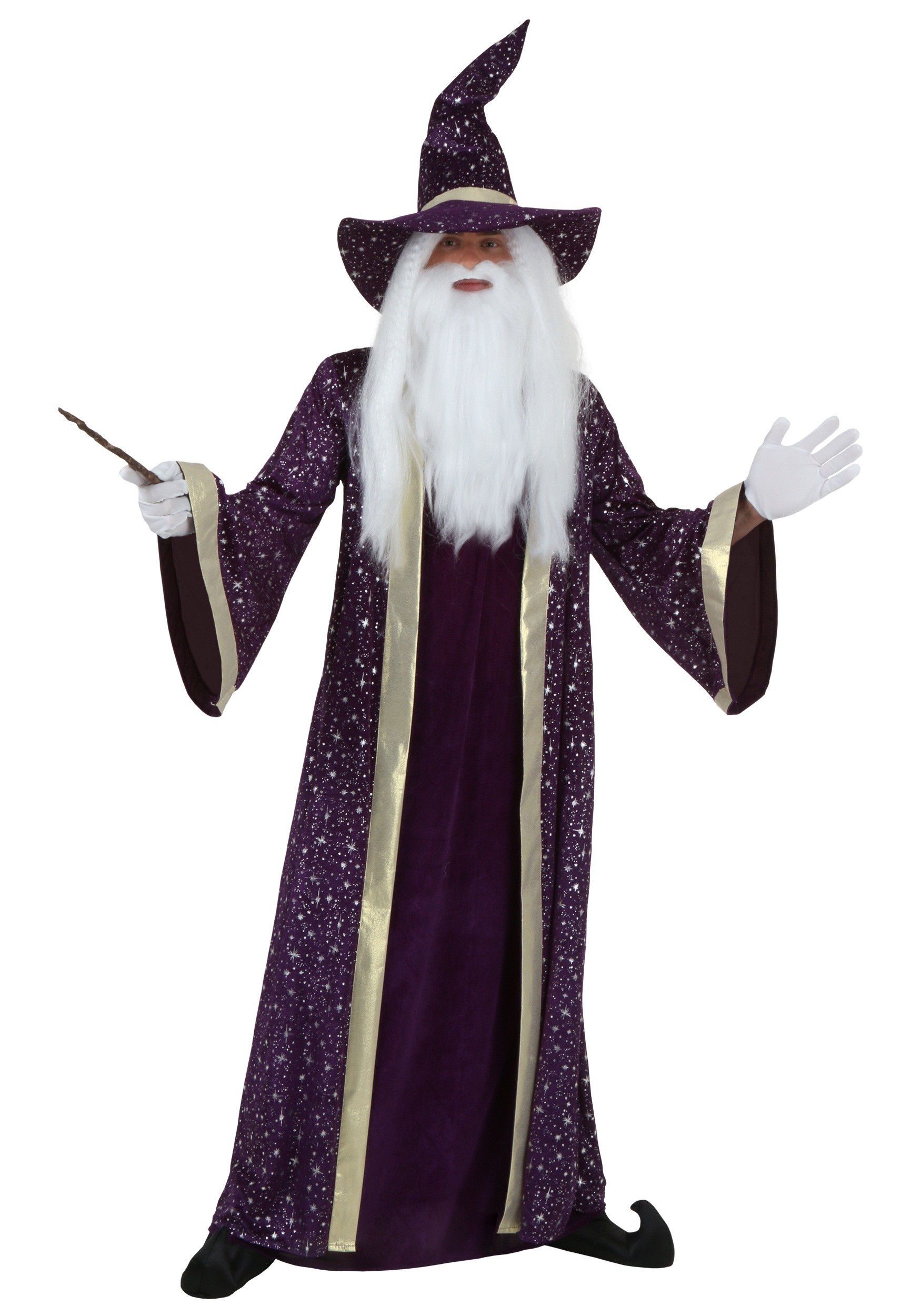 Purple Wizard Men's Costume