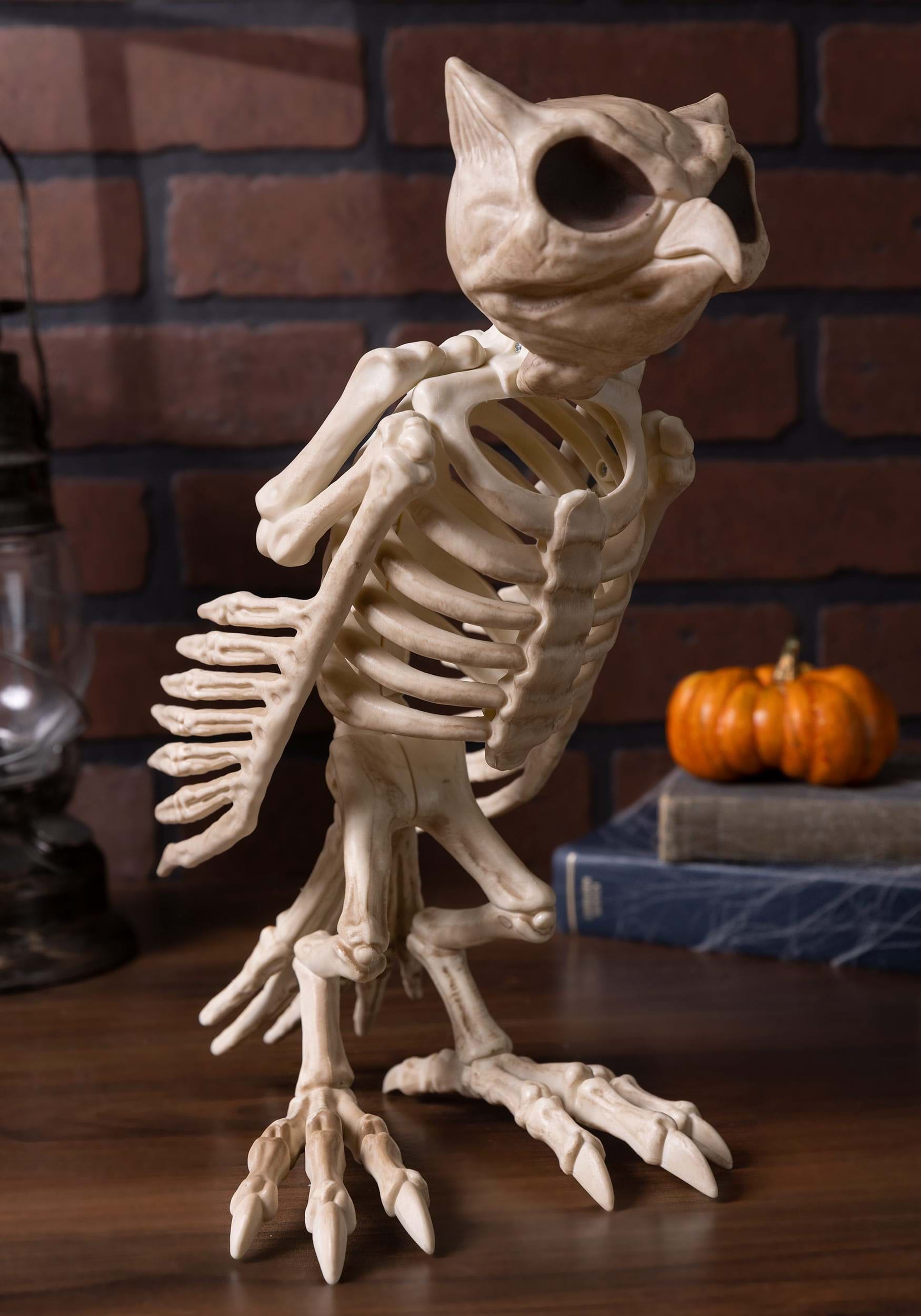 14-Inch Owl Bones Skeleton Decoration
