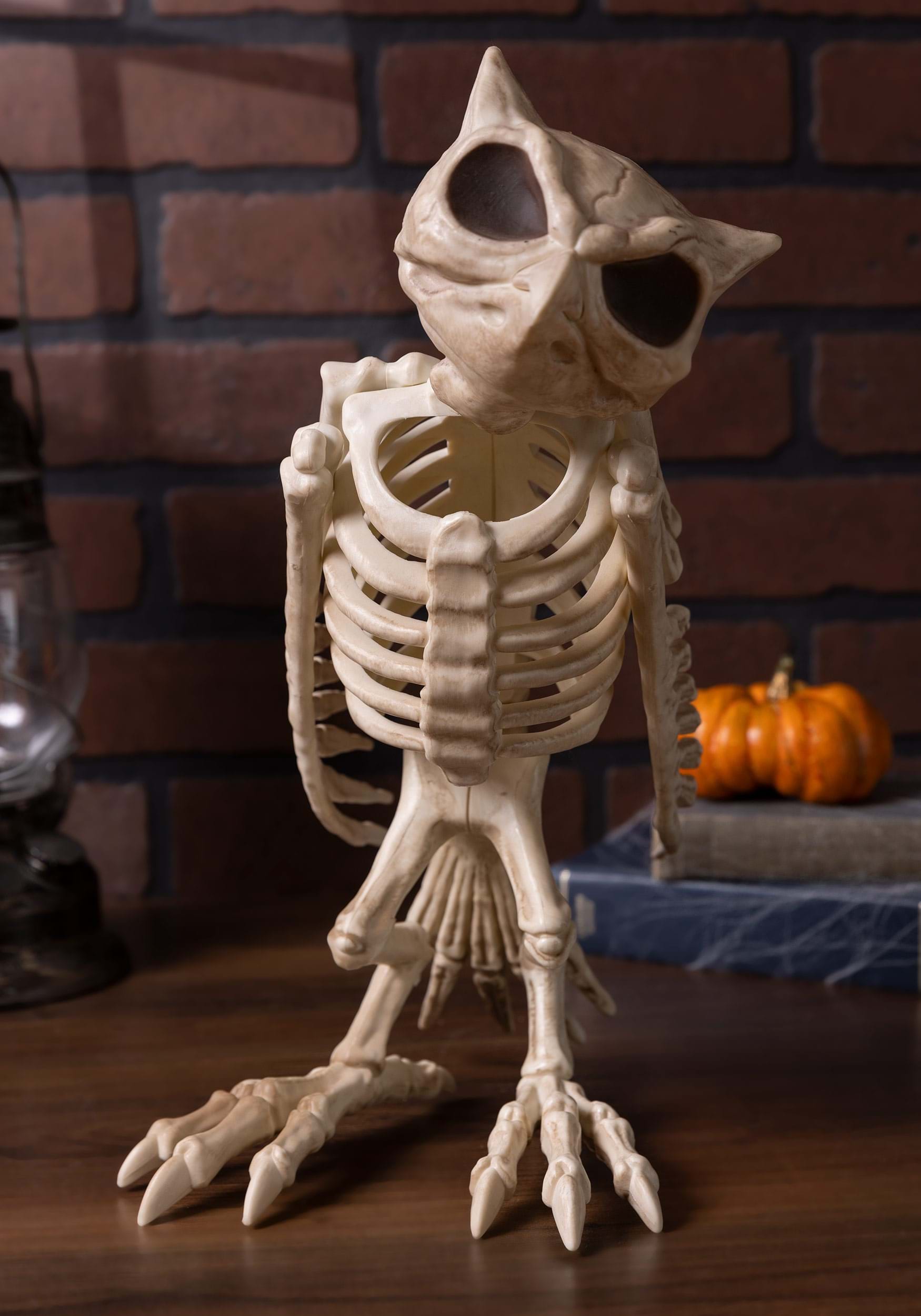 14-Inch Owl Bones Skeleton Decoration