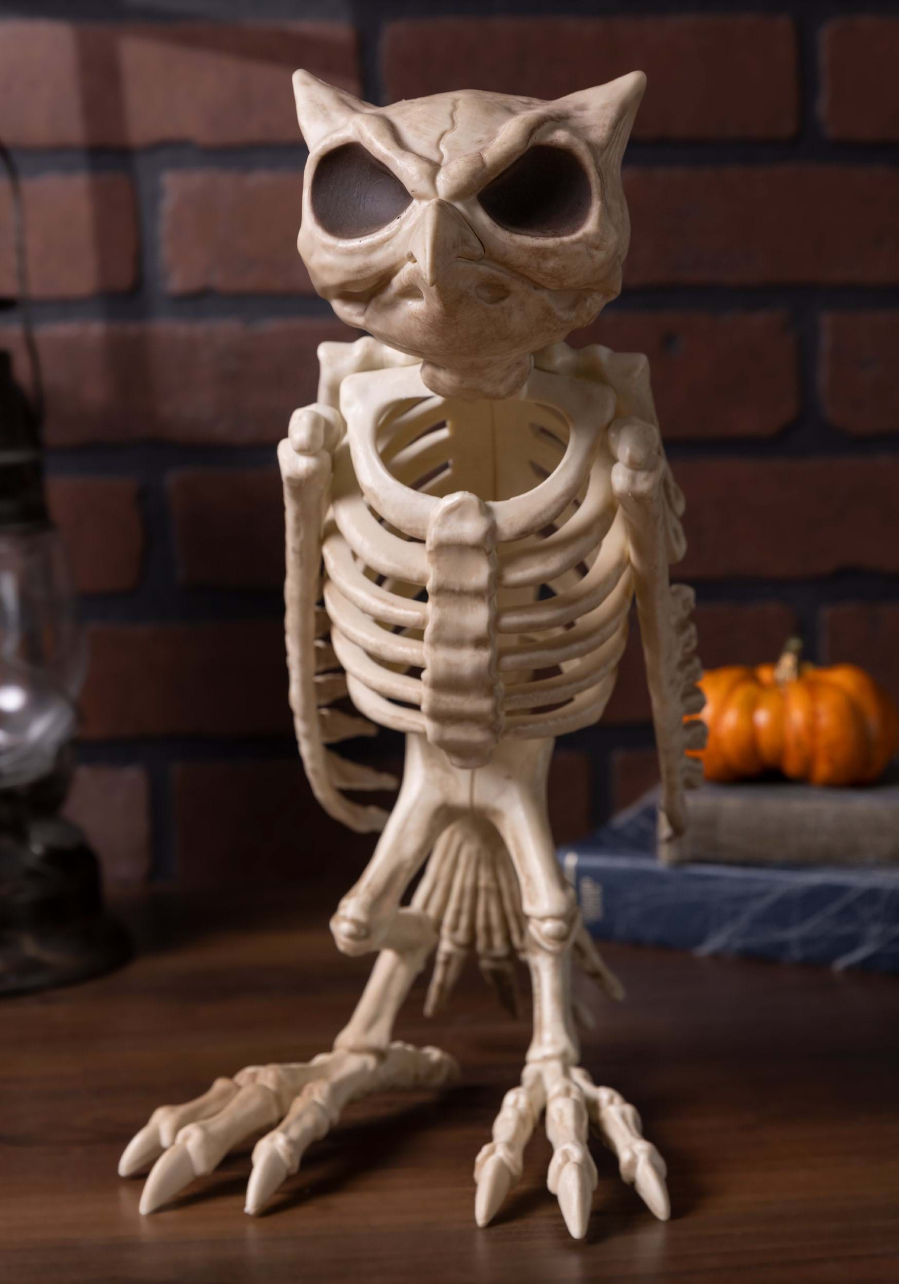 14-Inch Owl Bones Skeleton Decoration 3 14-Inch Owl Bones Skeleton Decoration