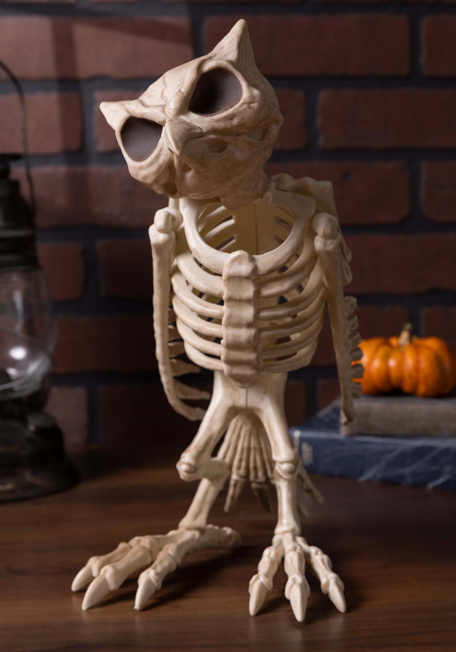 14-Inch Owl Bones Skeleton Decoration 4 14-Inch Owl Bones Skeleton Decoration